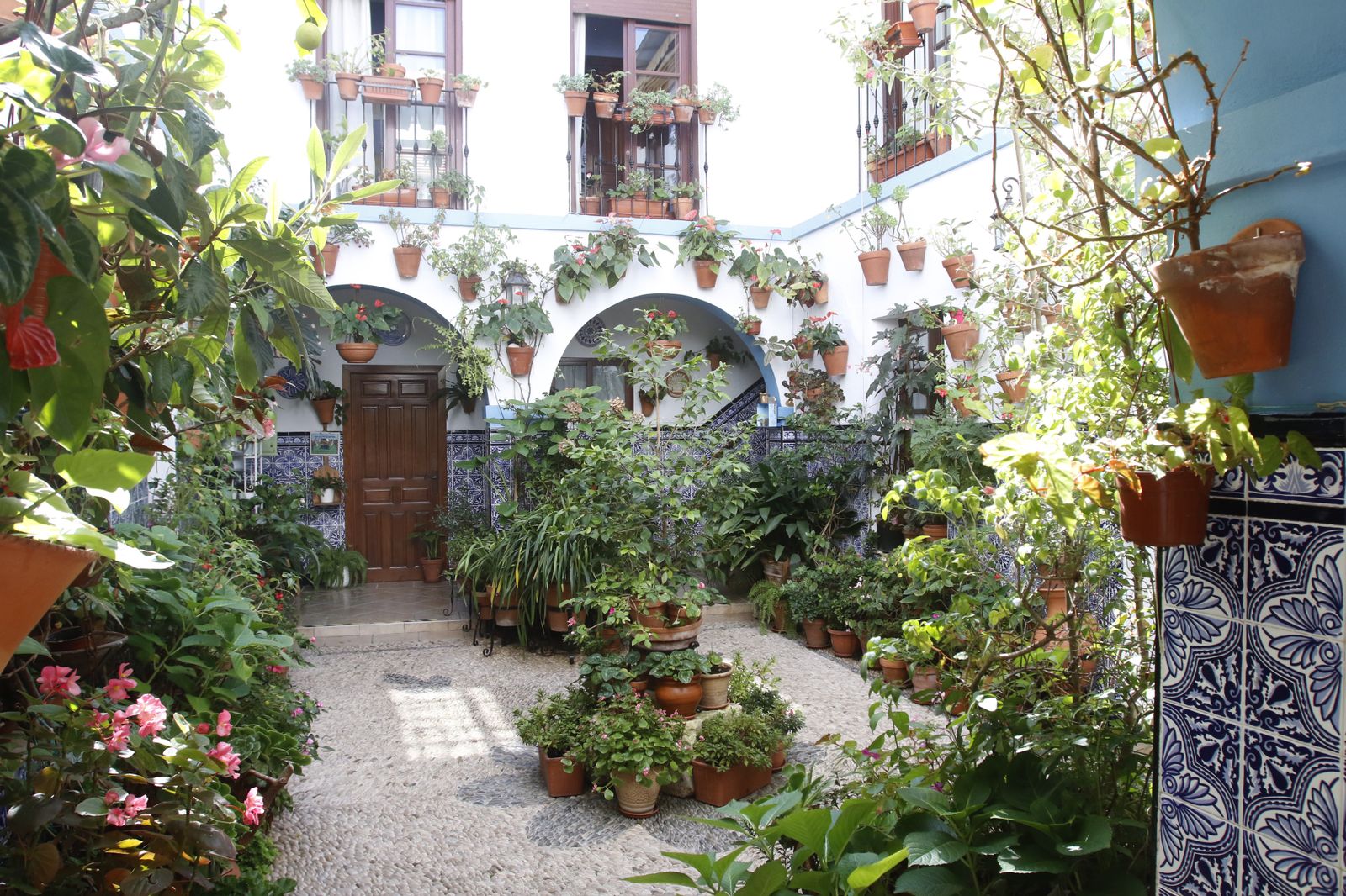 Las fotografías de los Patios de Córdoba en otoño