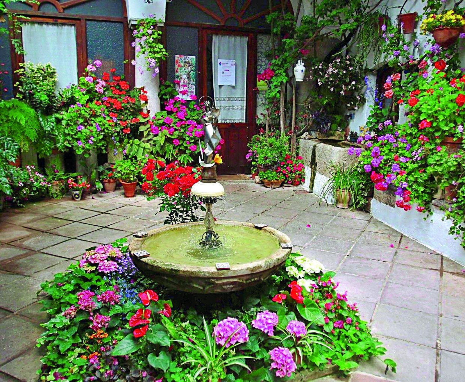 Guía de los Patios: La Palma, 3