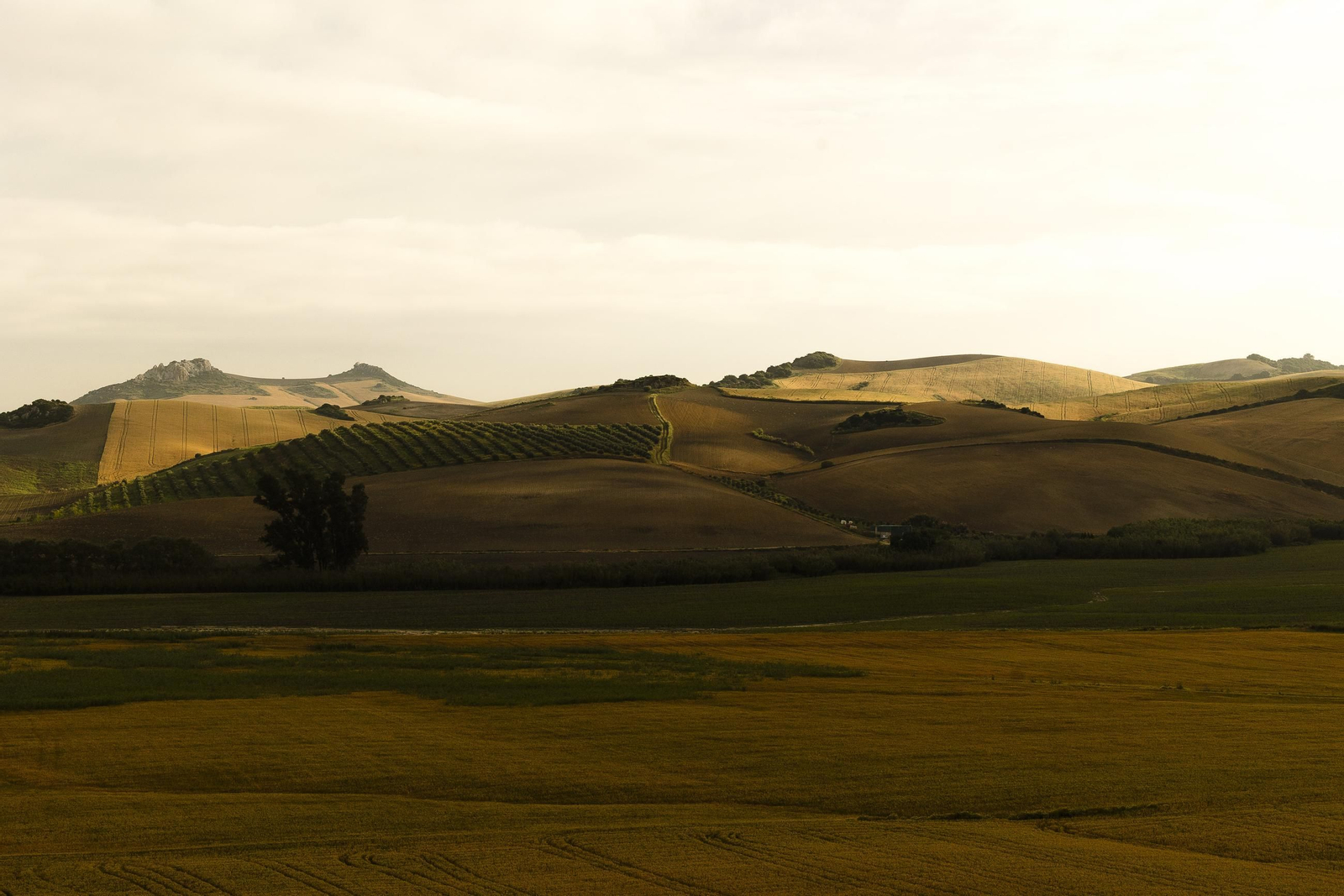 Cádiz desde el cielo en imágenes: así se ve Arcos en globo