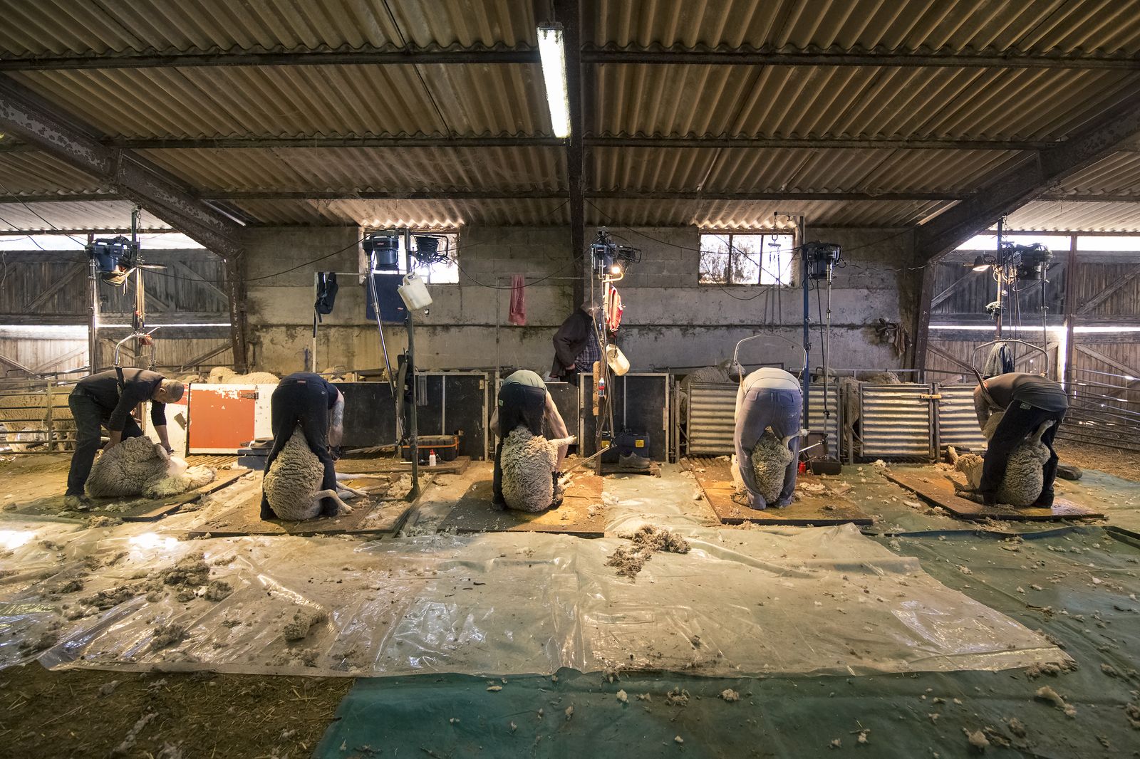 Imagen de José Luis Lozano que se expone en París.