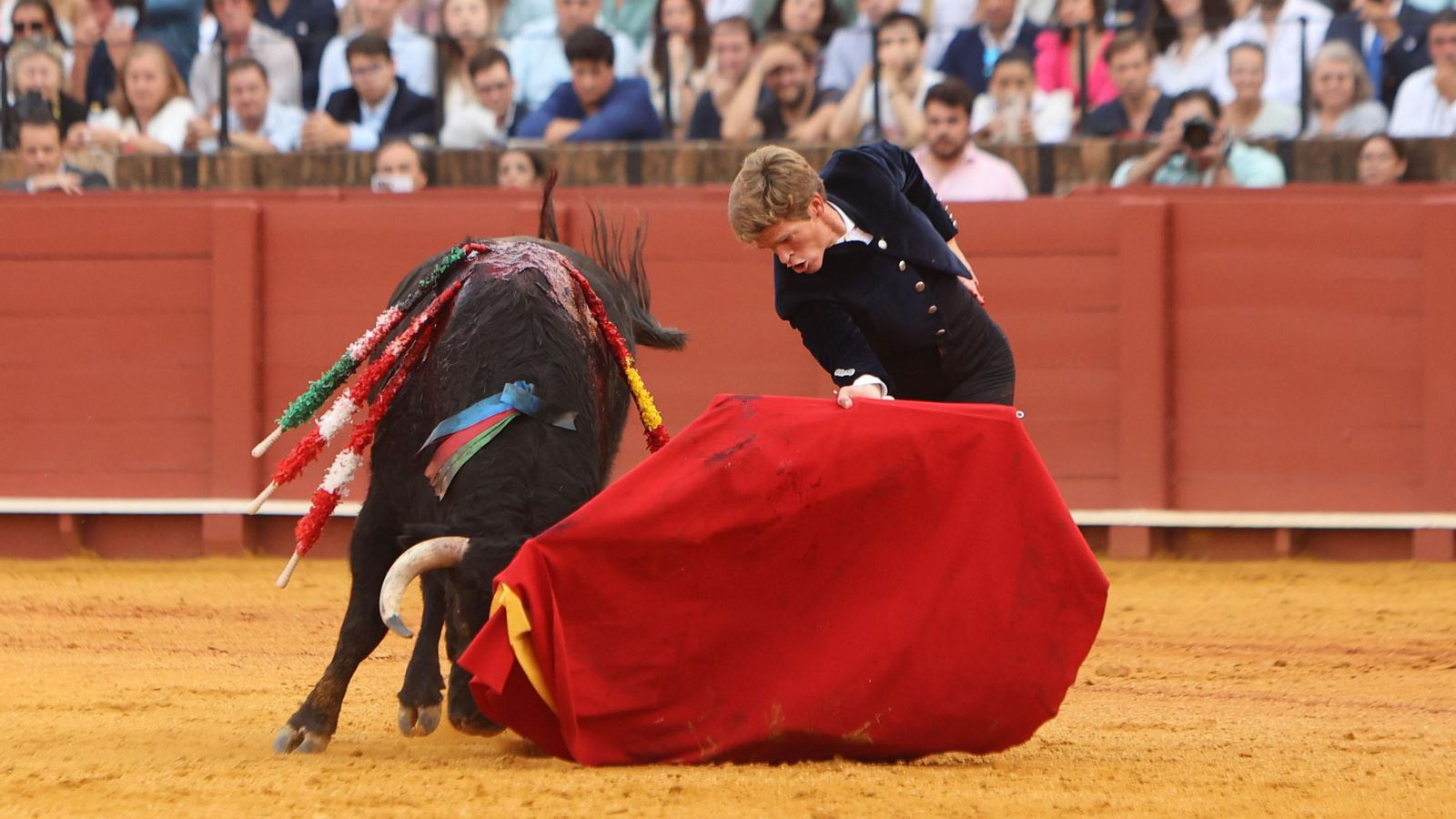 Las imágenes de la corrida.