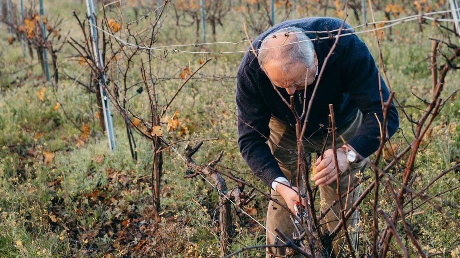 Bodegas Contreras Ruíz