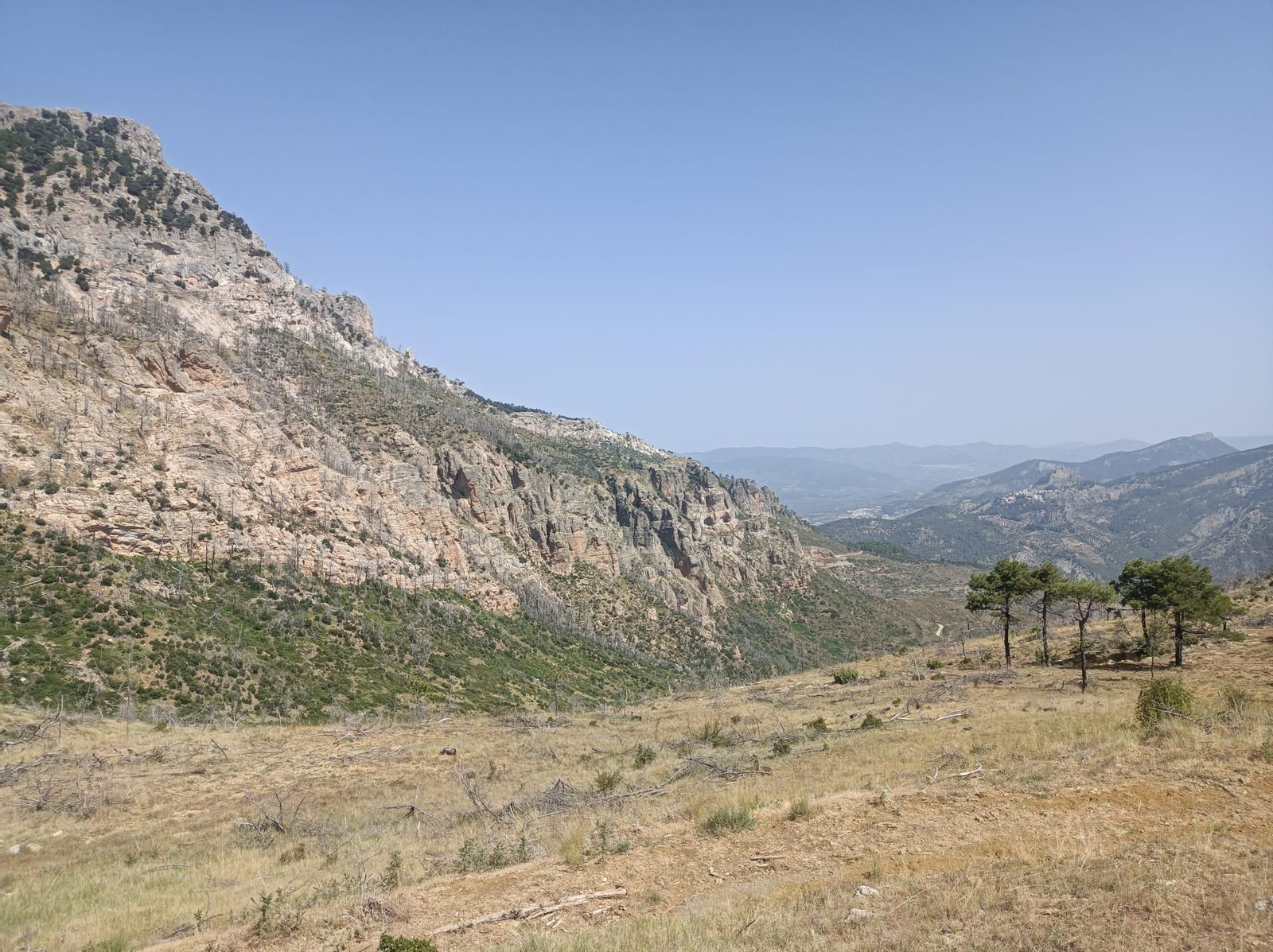 Así se regenera Segura de la Sierra tras el incendio forestal de 2017 Así se regenera Segura de la Sierra tras el incendio forestal de 2017