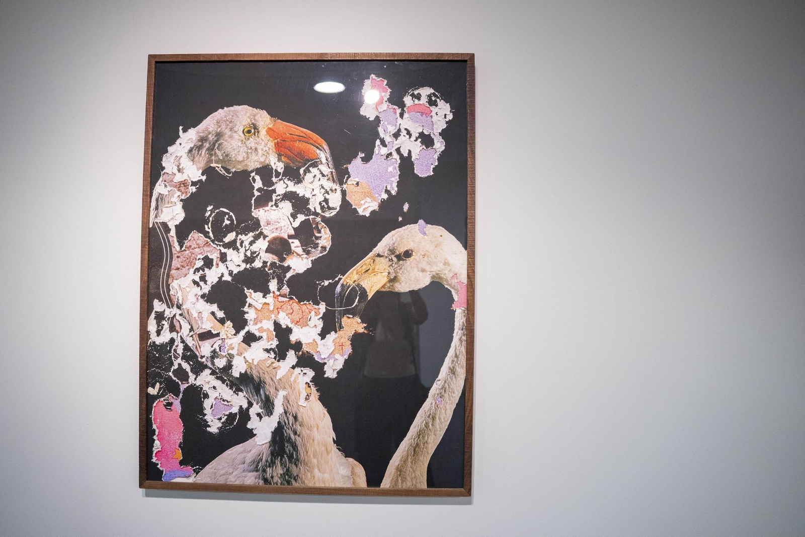 El comisario Sema D'Acosta y el artista Joan Fontcuberta presentan la exposición Háptica de la Fundación Unicaja