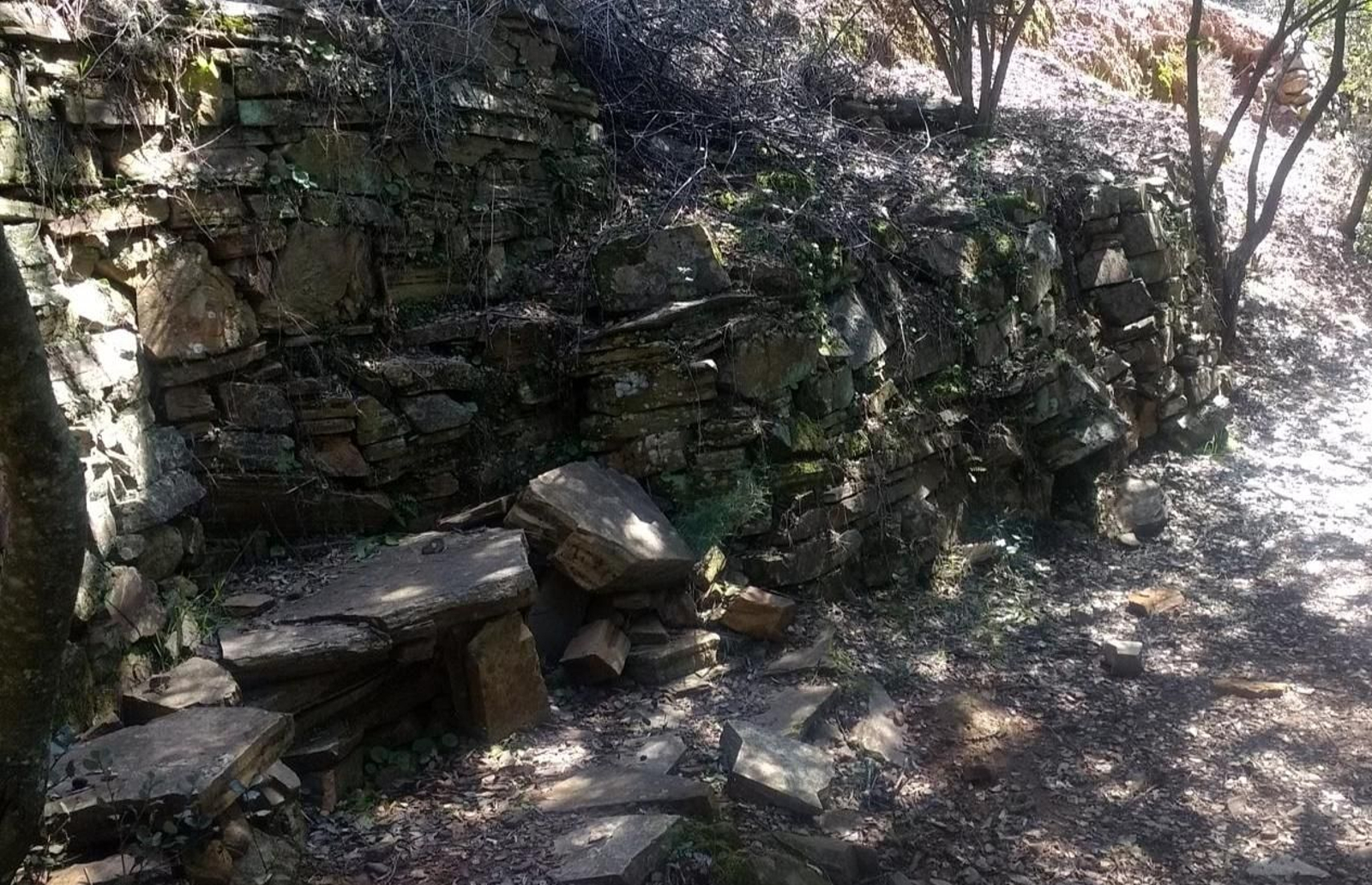 Las fotos de la circular de los Molinos del Ciudadeja