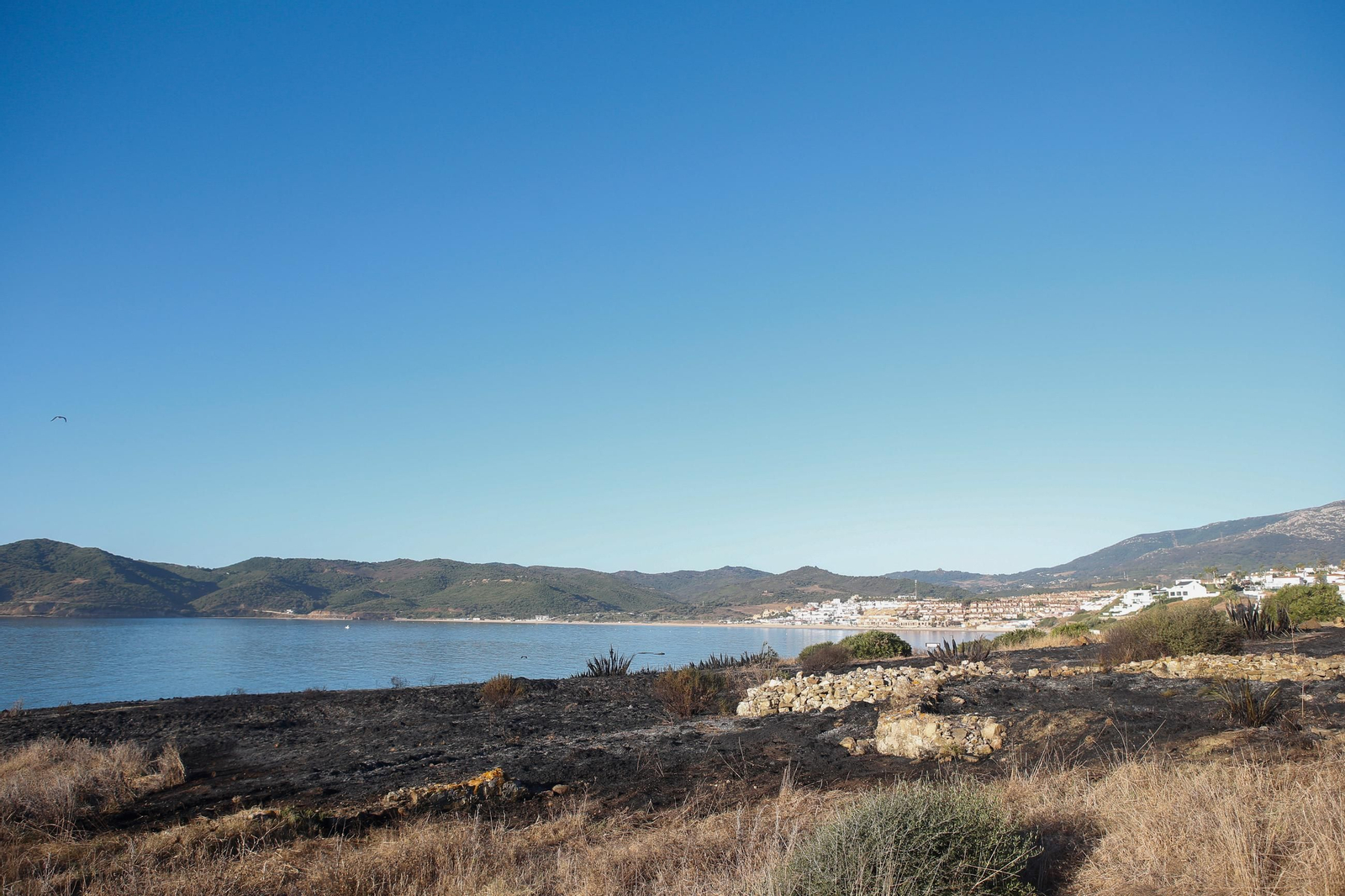 Daños en el Parque Centenario de Algeciras tras el incendio nocturno, en imágenes