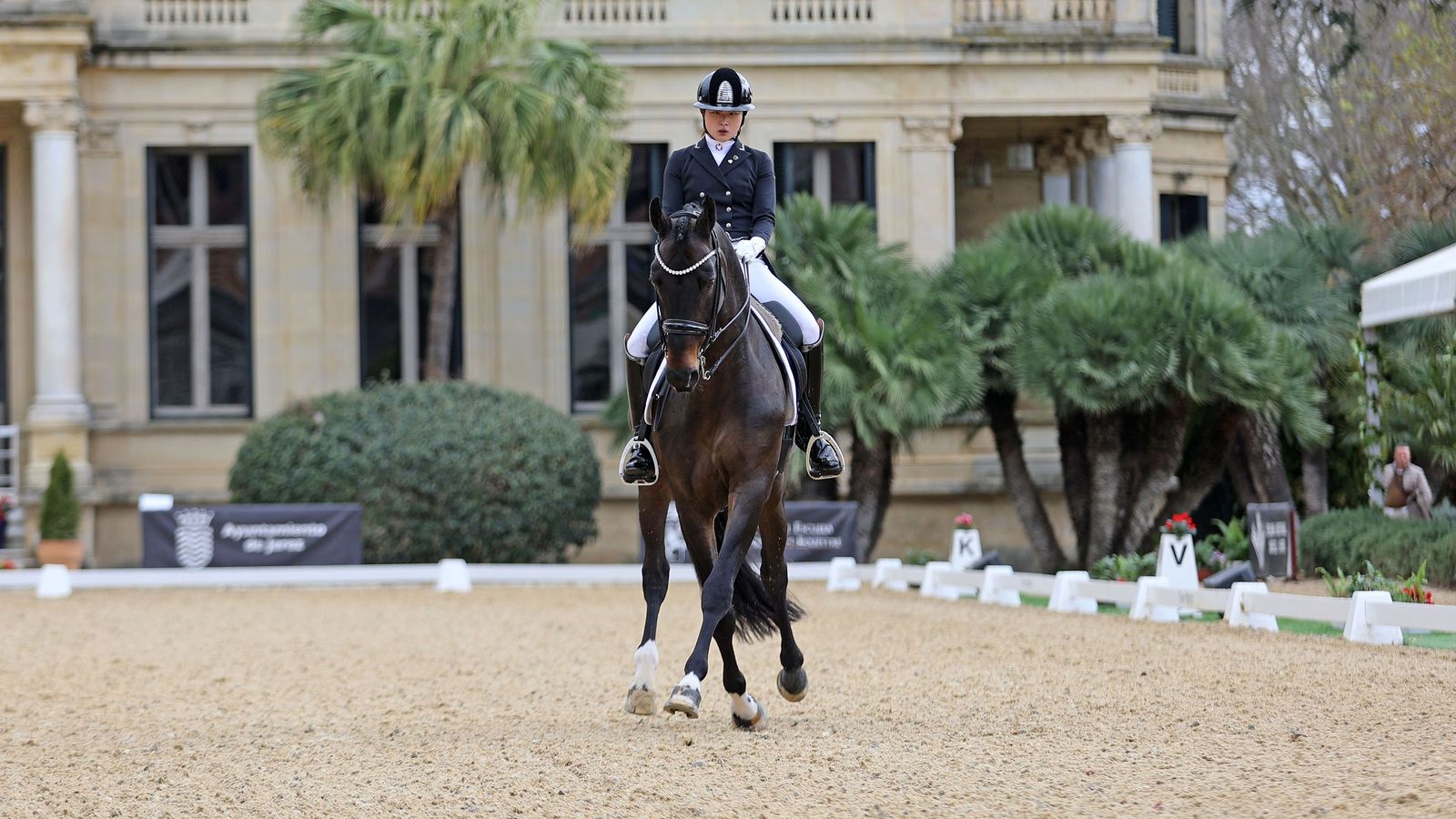 Concurso Internacional de Doma Clásica en La Real Escuela de Jerez