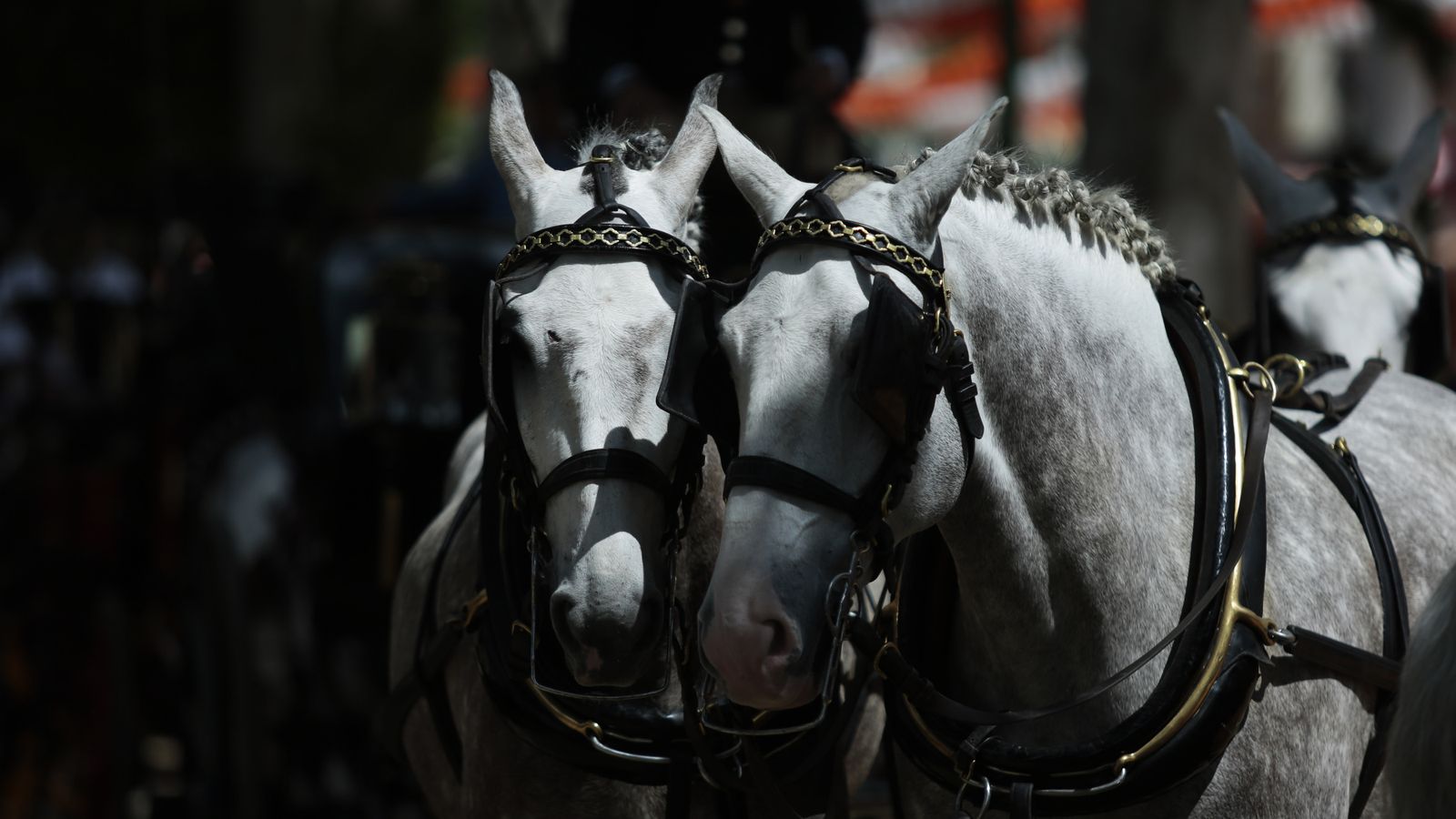 Las imágenes del lunes de Feria