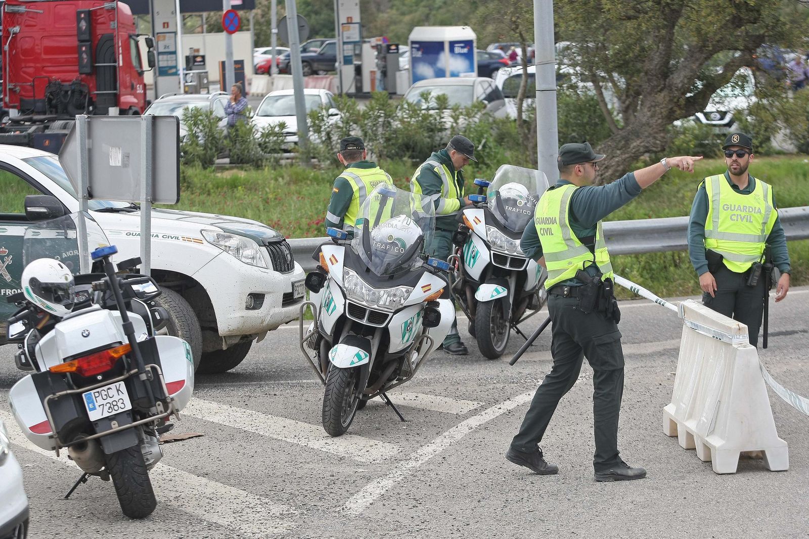 La Romería de Los Barrios, en imágenes