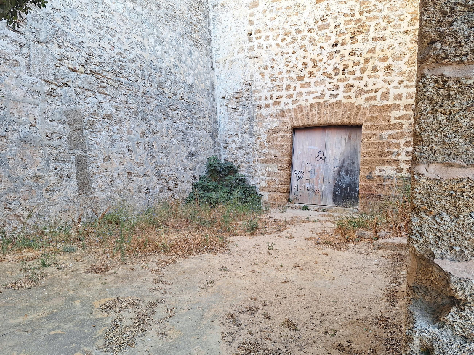 Estado de abandono a pie de la muralla.