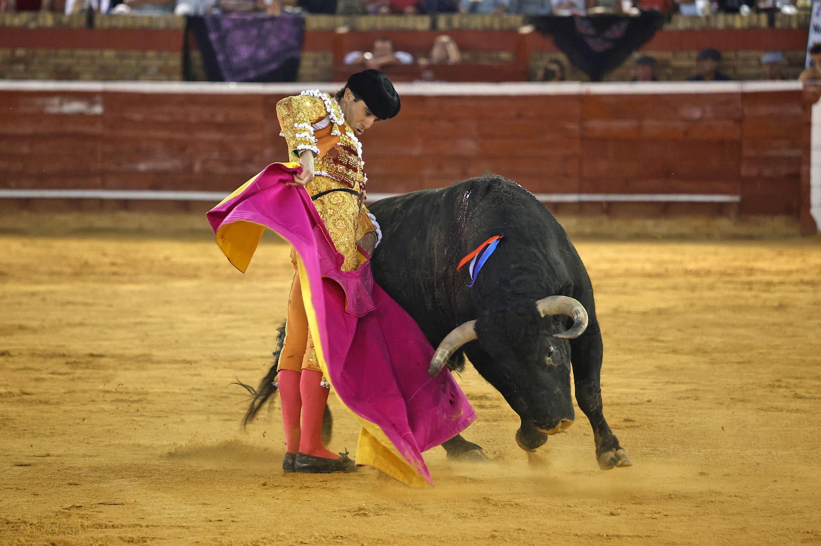 Toros La Merced 2025: Imágenes de la Corrida de Toros de Morante de la Puebla, Daniel Luque y Juan Ortega