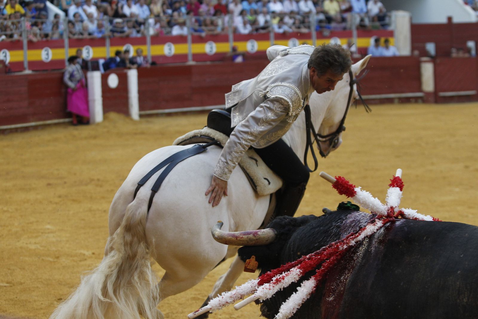 Fotogalería corrida de rejones. Feria de Almería 2019