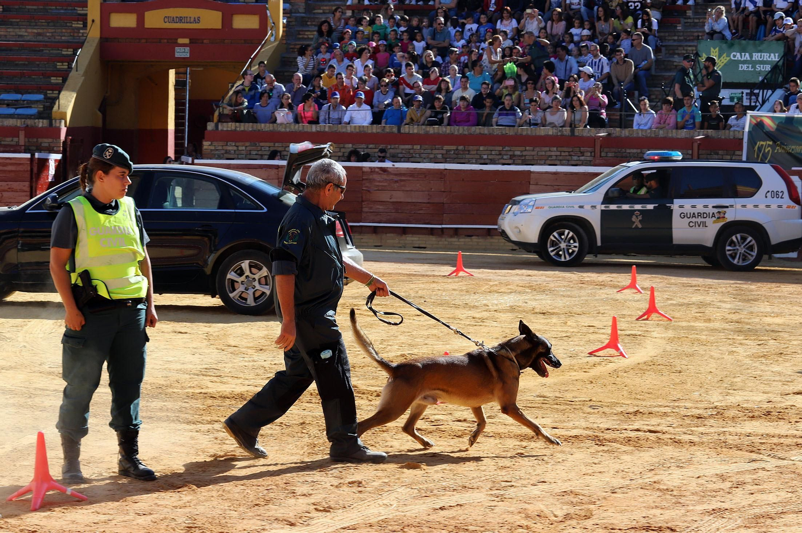 Imágenes de la jornada de puertas abiertas de la Guardia Civil