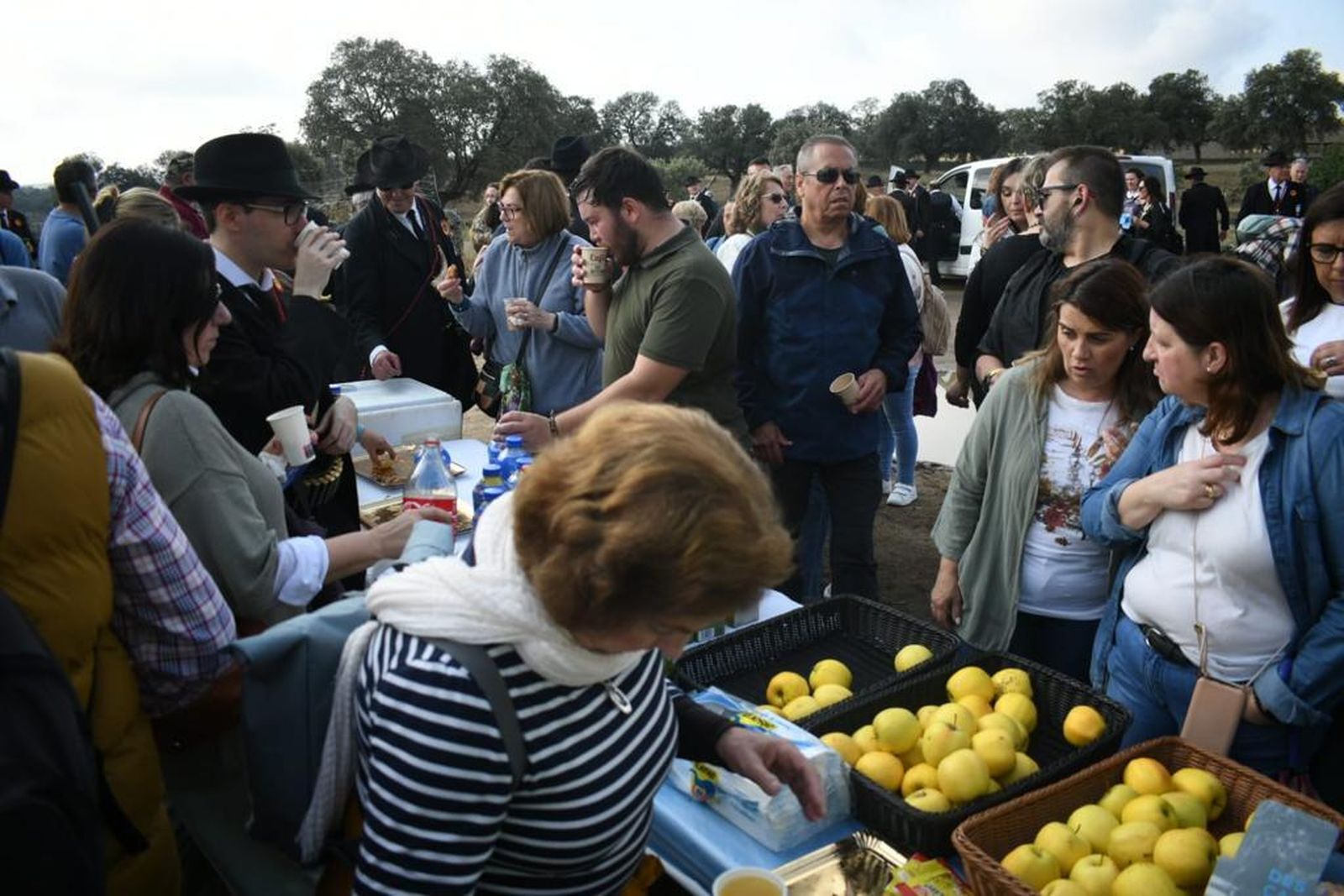 La despedida de la Virgen de Luna en Pozoblanco, en fotografías