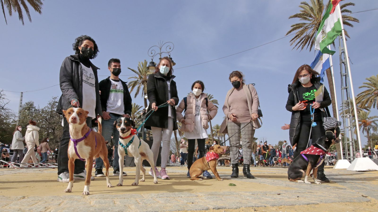 Imágenes de la 'Fiesta de San Antón 2022'