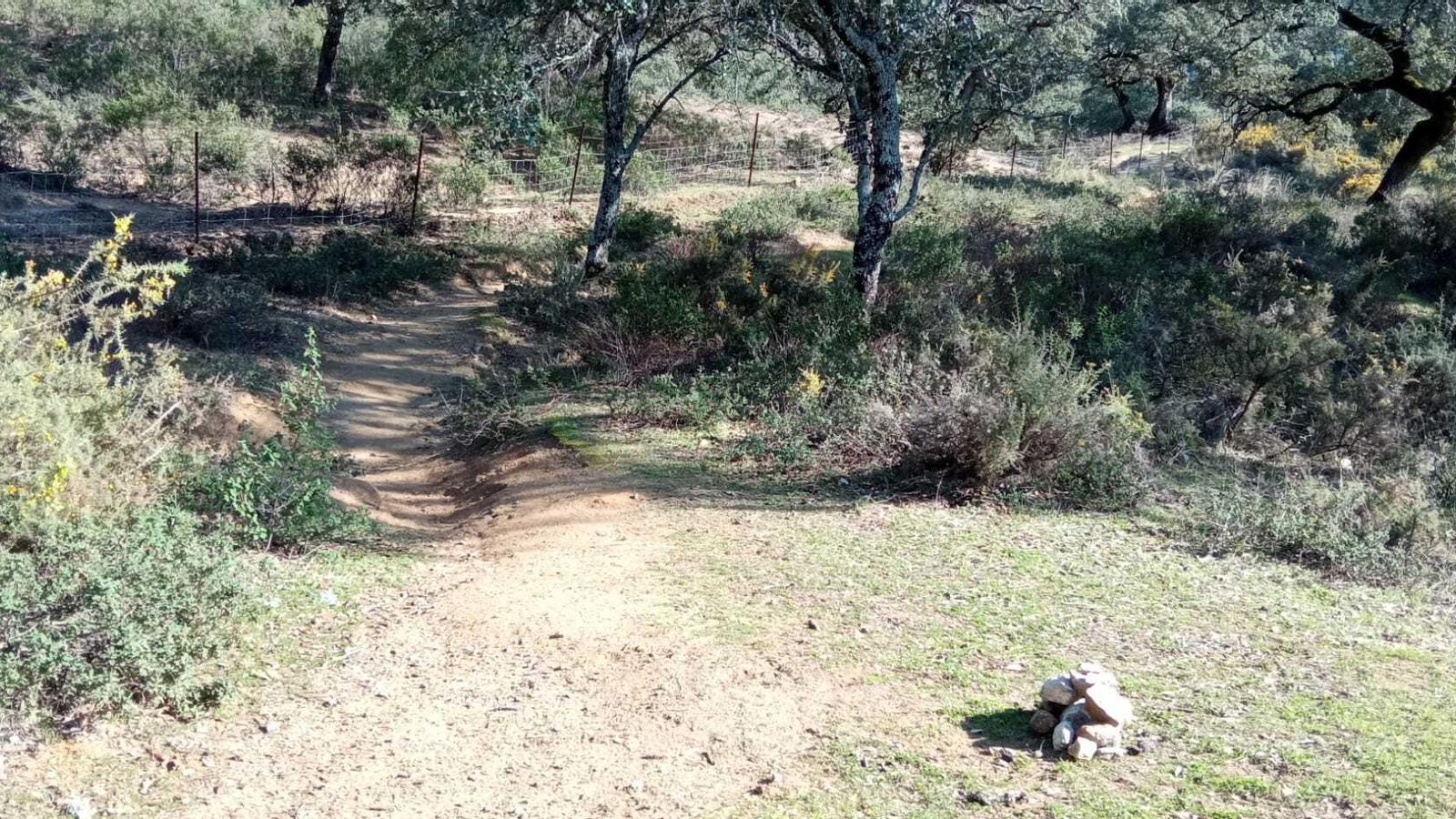 Montículo y camino que sale hacia la izquierda