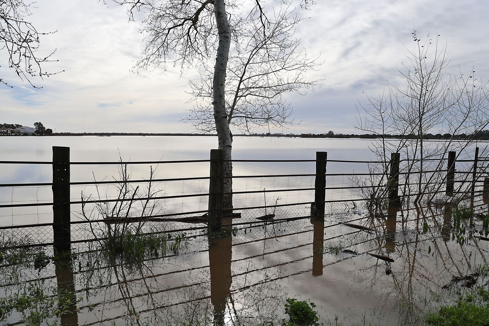El estado de las marismas del Rocío tras el paso de la borrasca Marta