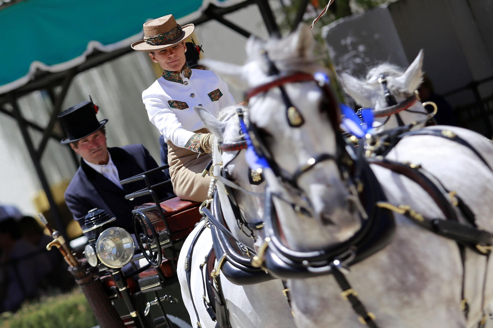Trofeos de los concursos de Enganches y Morfológicos en la Feria de Jerez