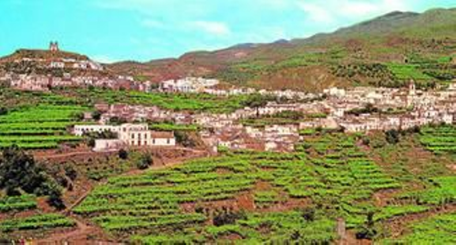Vista panorámica de Canjáyar y sus parrales realizada hacia el año 1965.