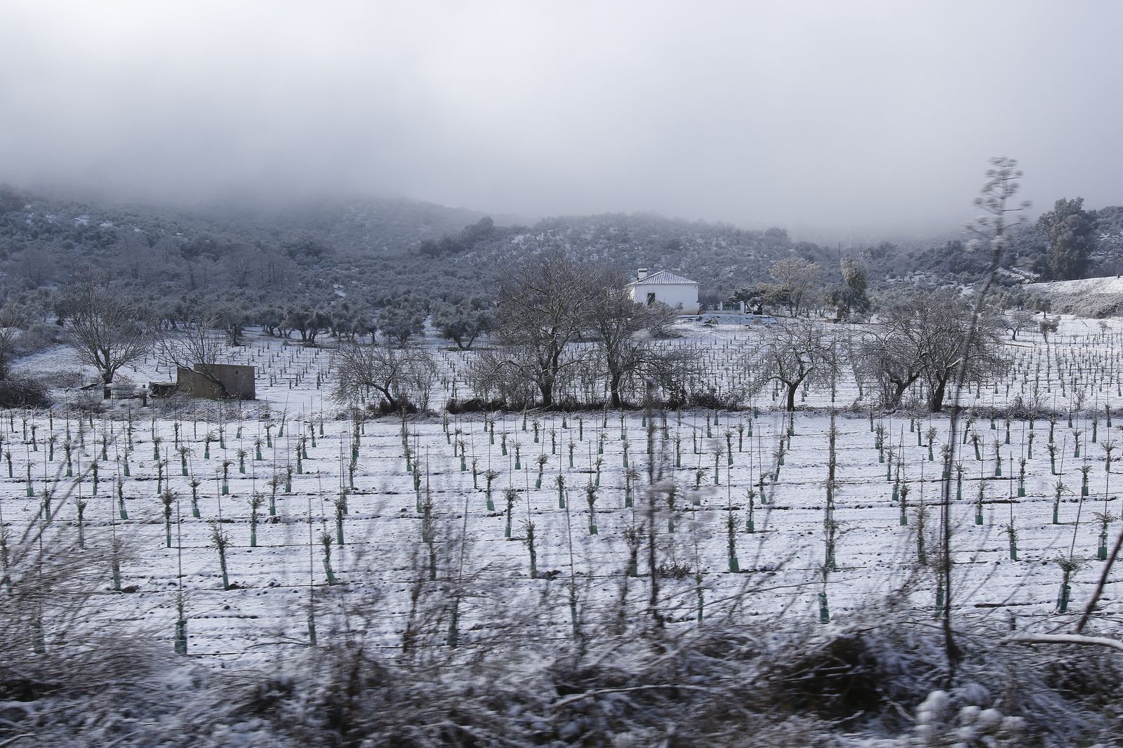 Nieva en la Sierra Norte de Sevilla