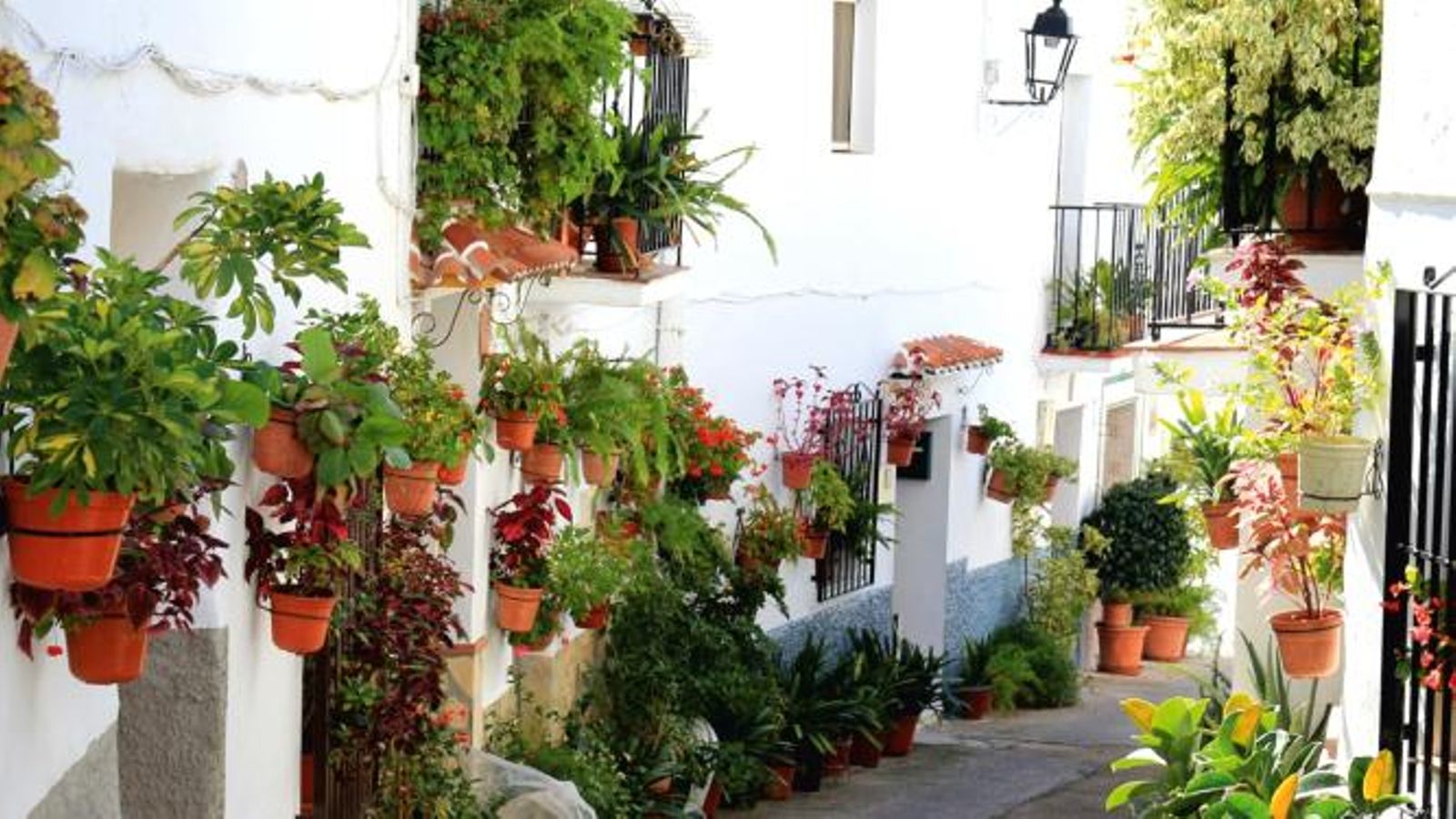 Una de las calles de Canillas de Aceituno. Una de las calles de Canillas de Aceituno.