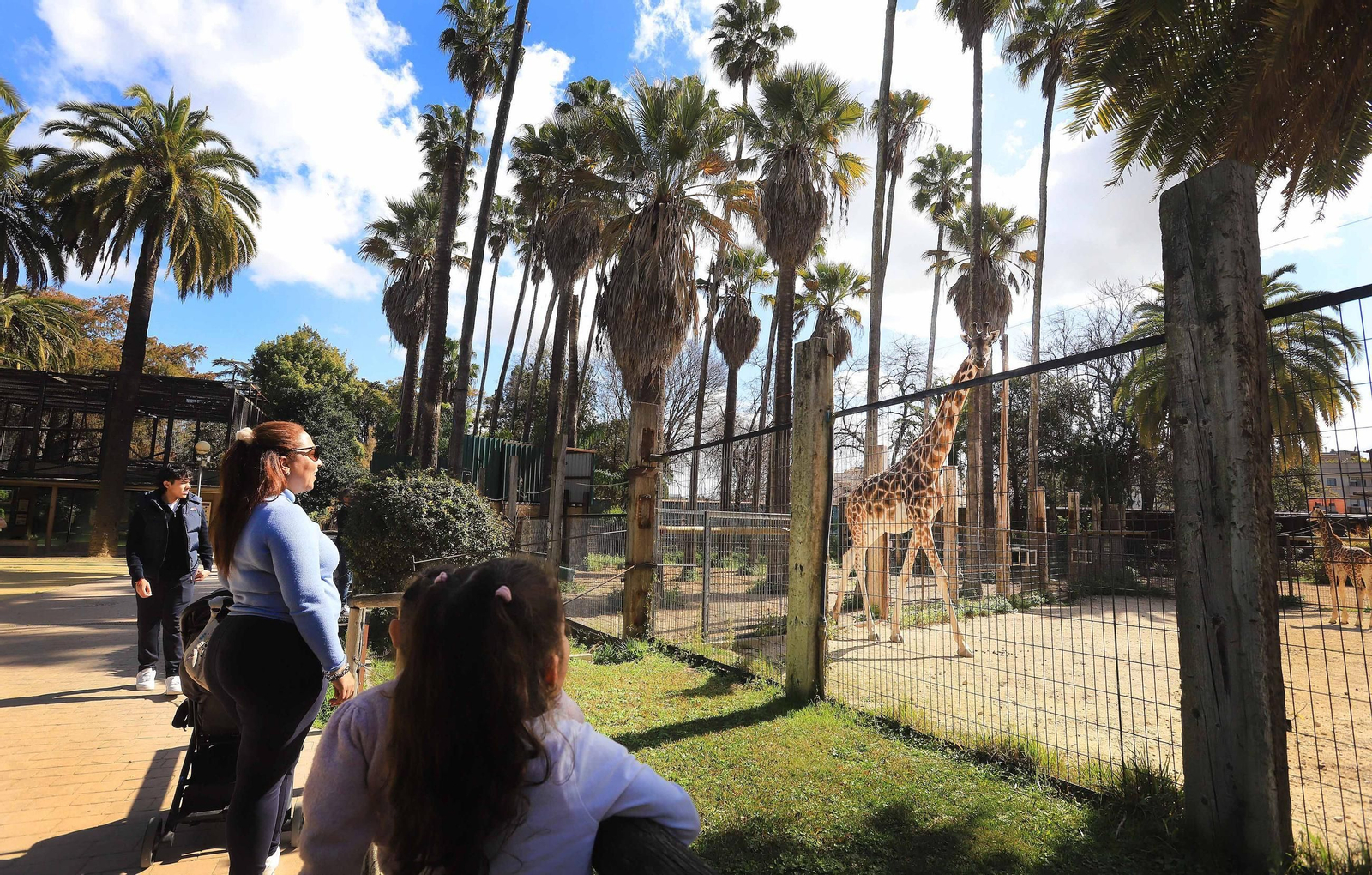 El Zoo de Jerez cumple 72 años El Zoo de Jerez cumple 72 años