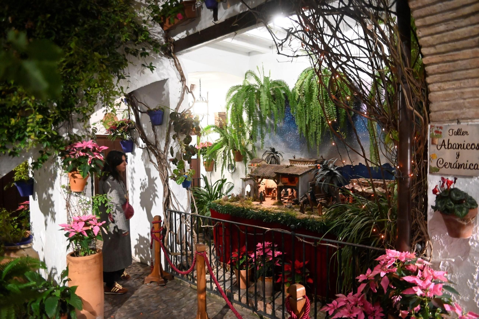 Los patios de Córdoba se llenan de alegría en Navidad