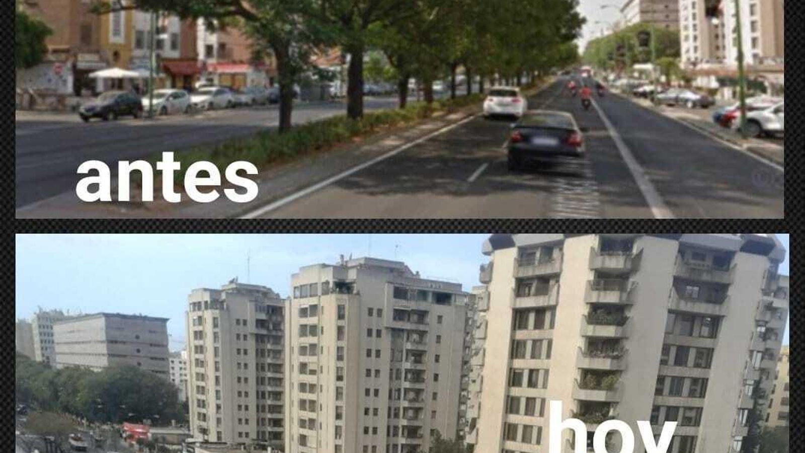 Comparativa de los árboles antes y después de la obra del tranvía.