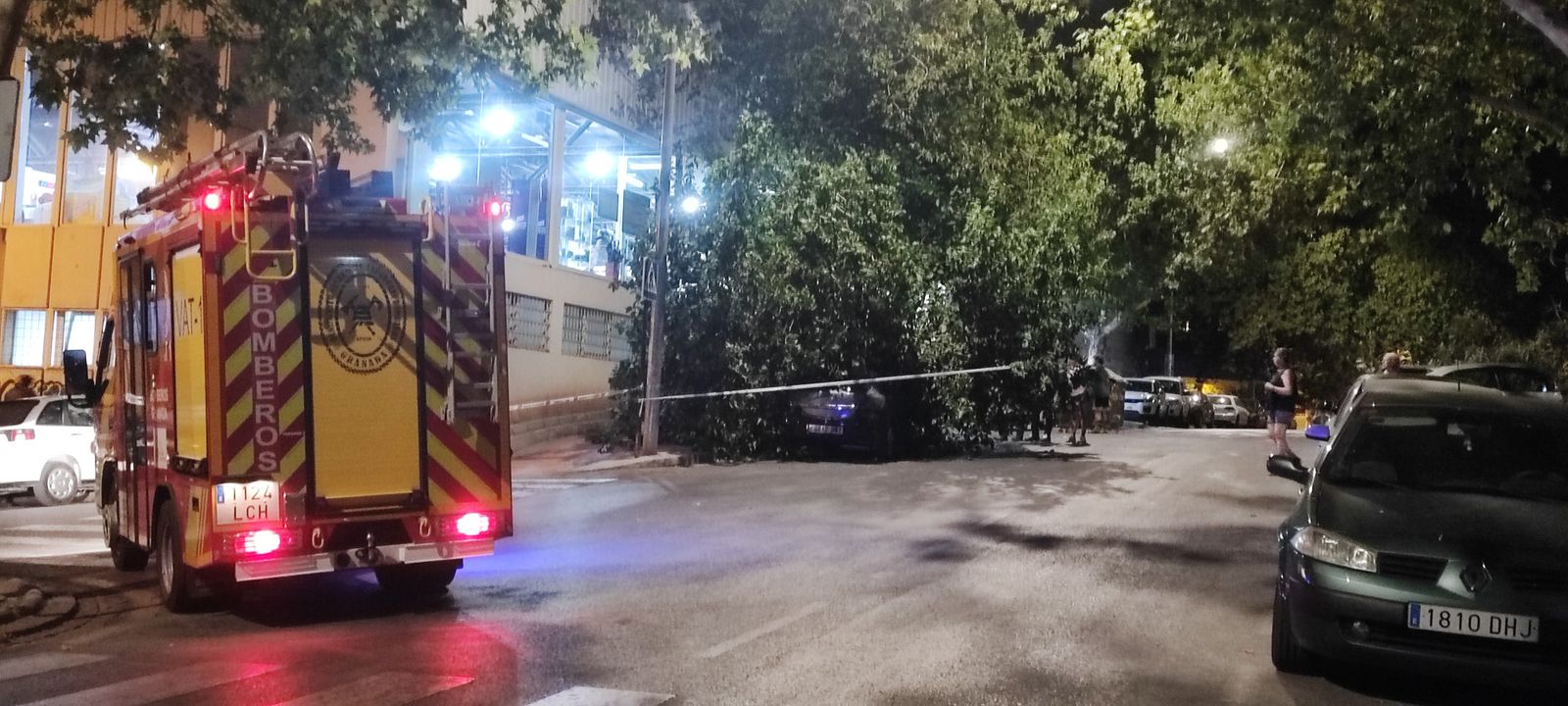 Imagen de la caída del árbol y la intervención de Bomberos de Granada