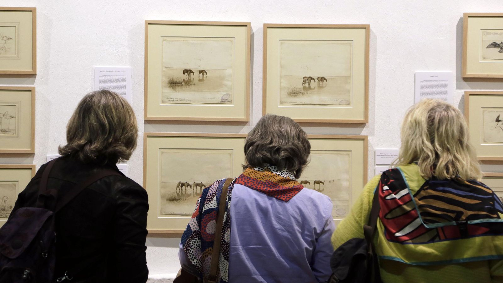 Público observa algunas de las obras de la exposición. /M. A.