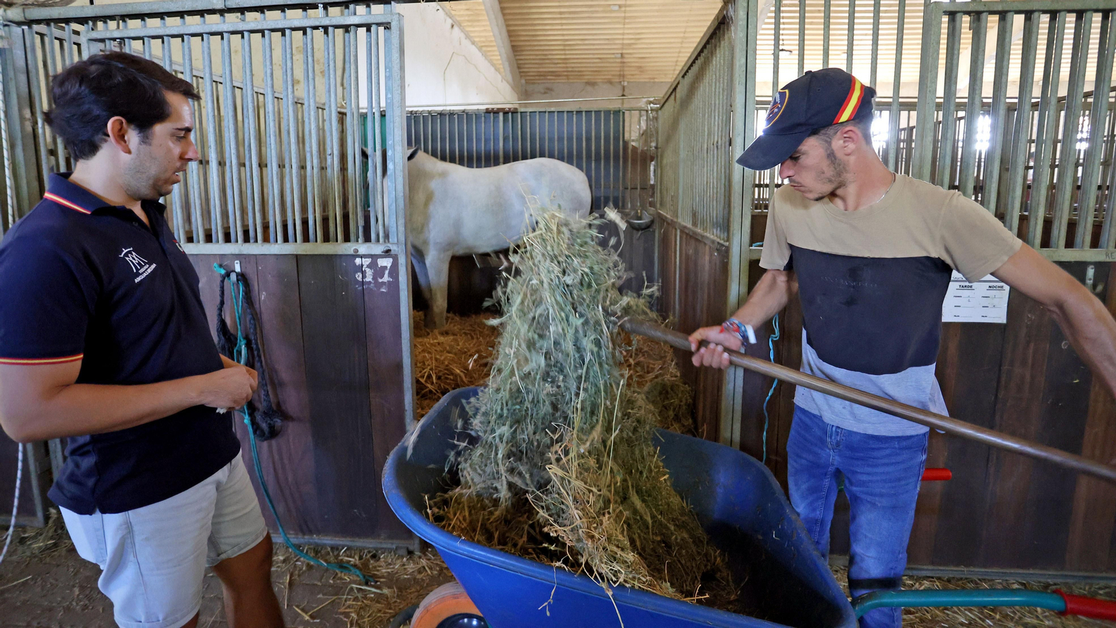 Imágenes del Complejo Hípico de Chapín de Ganadería Alpende