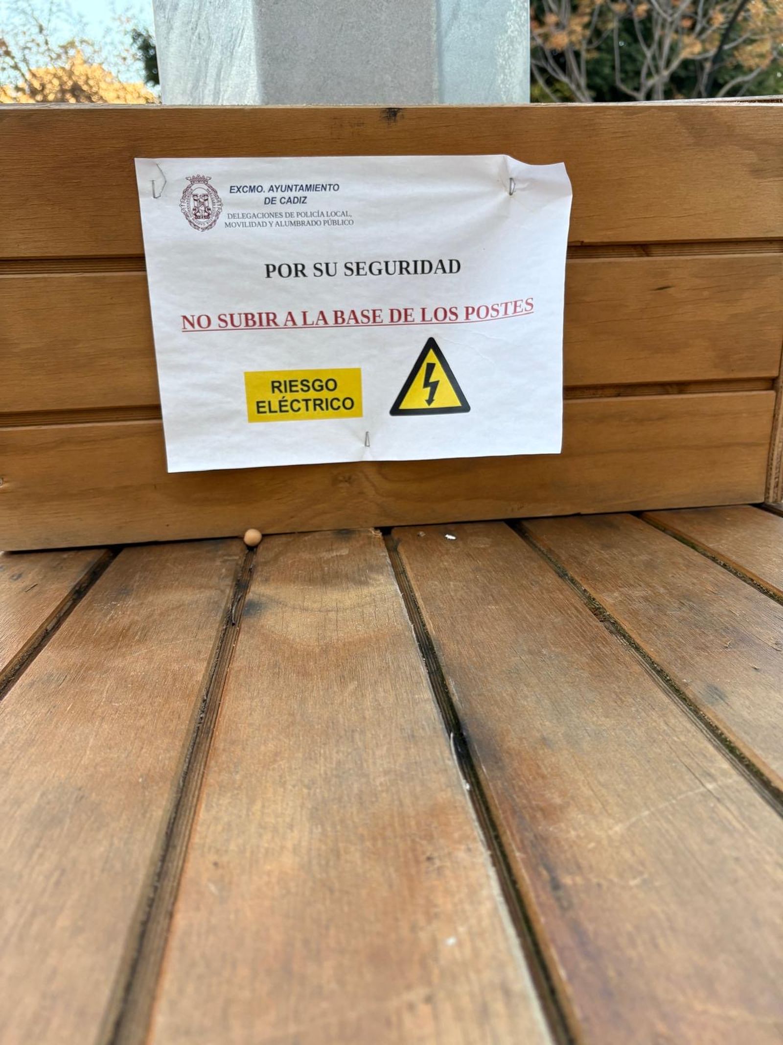 Los mamotretos de la Avenida