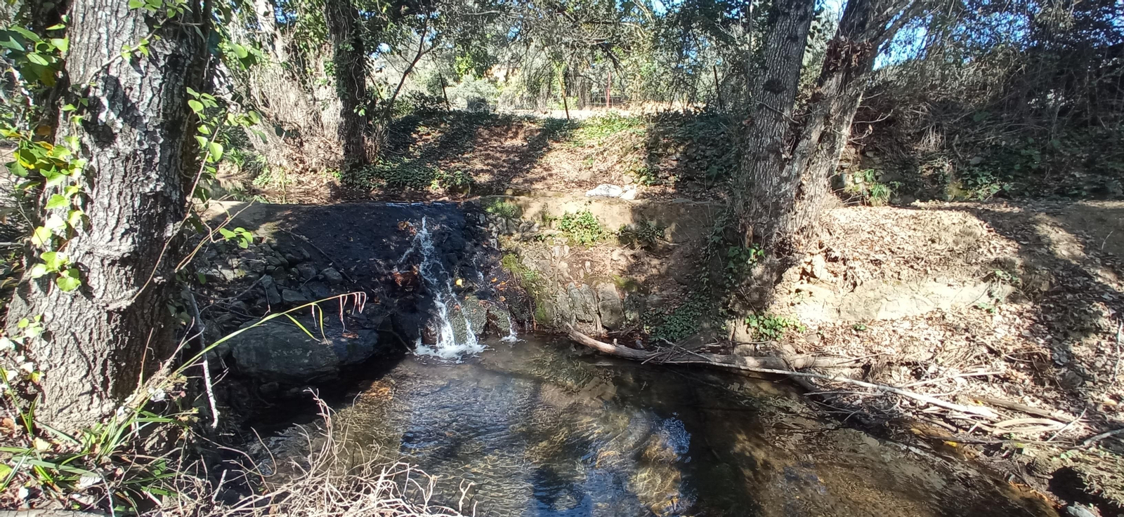 Las imágenes de la ruta de la cascada de Jollarancos y bosque de las letras
