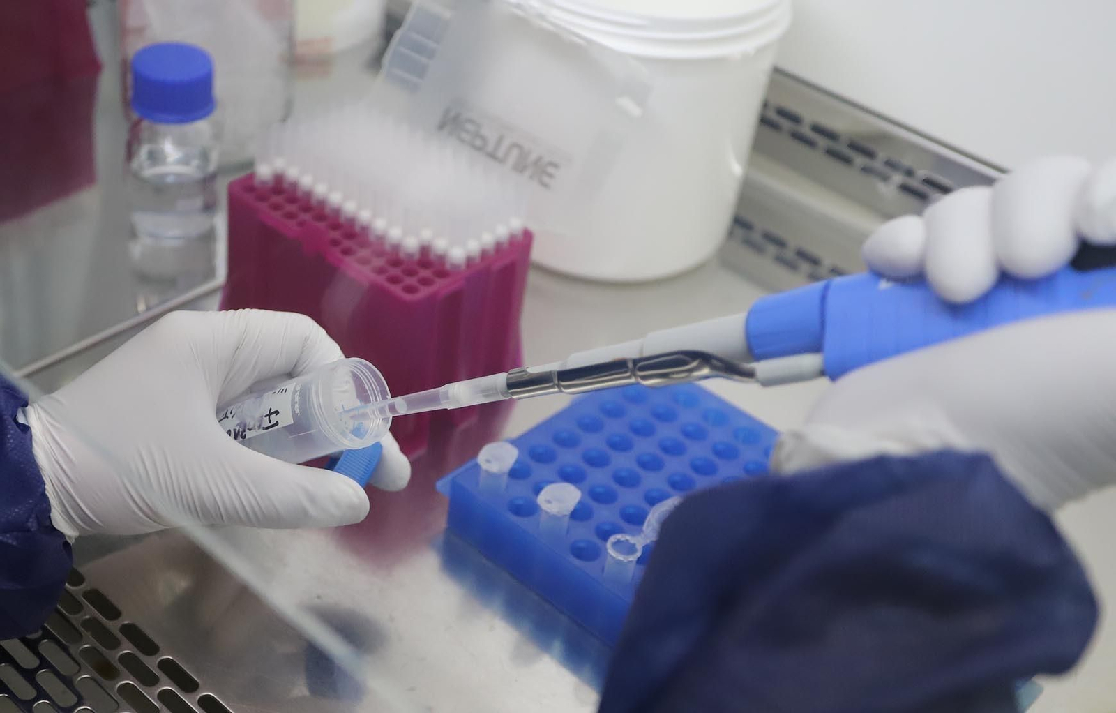 Laboratorio de análisis de pruebas PCR de covid.