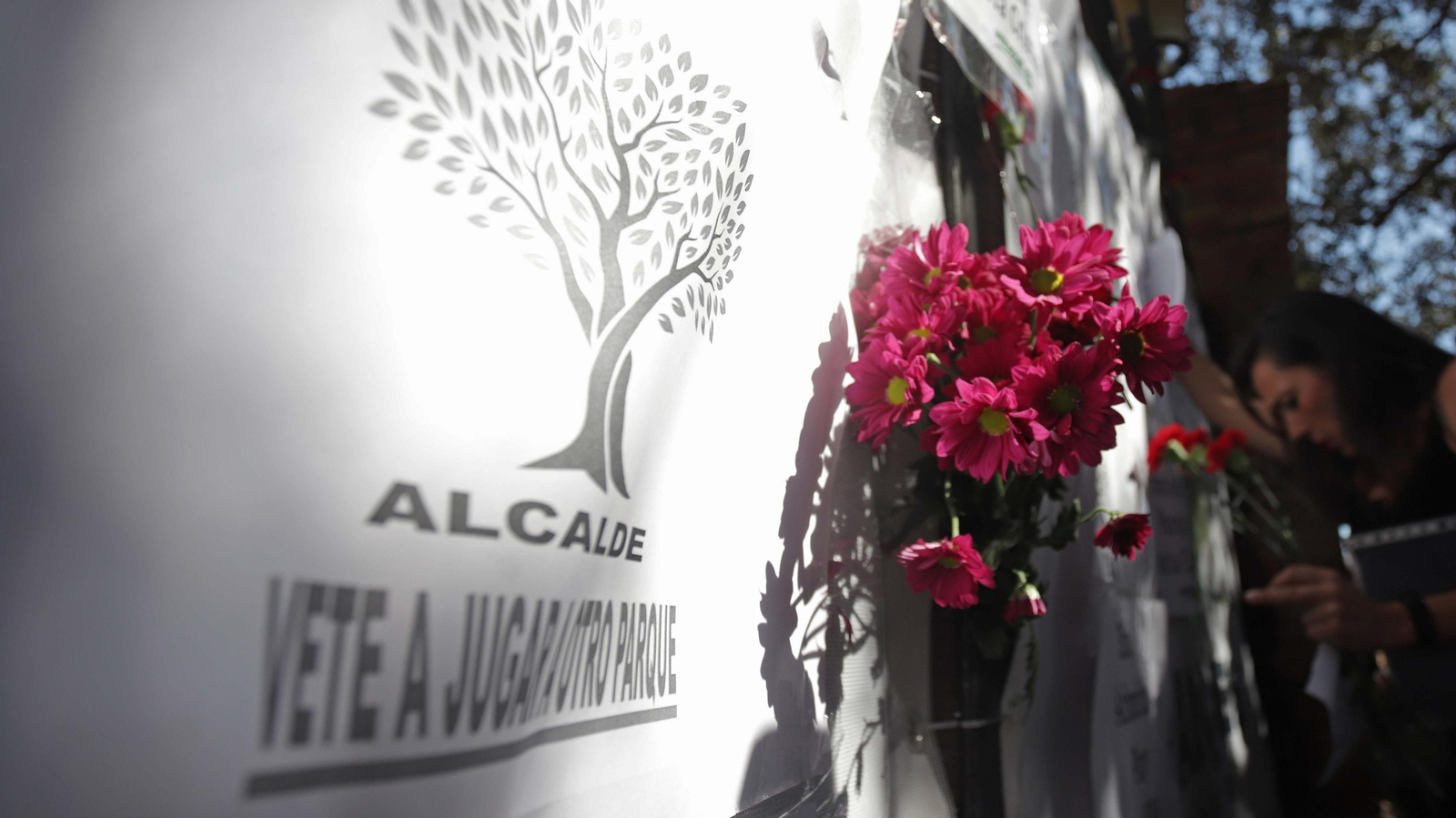 Fotos de las protestas contra la tala de árboles en el Parque María Cristina de Algeciras