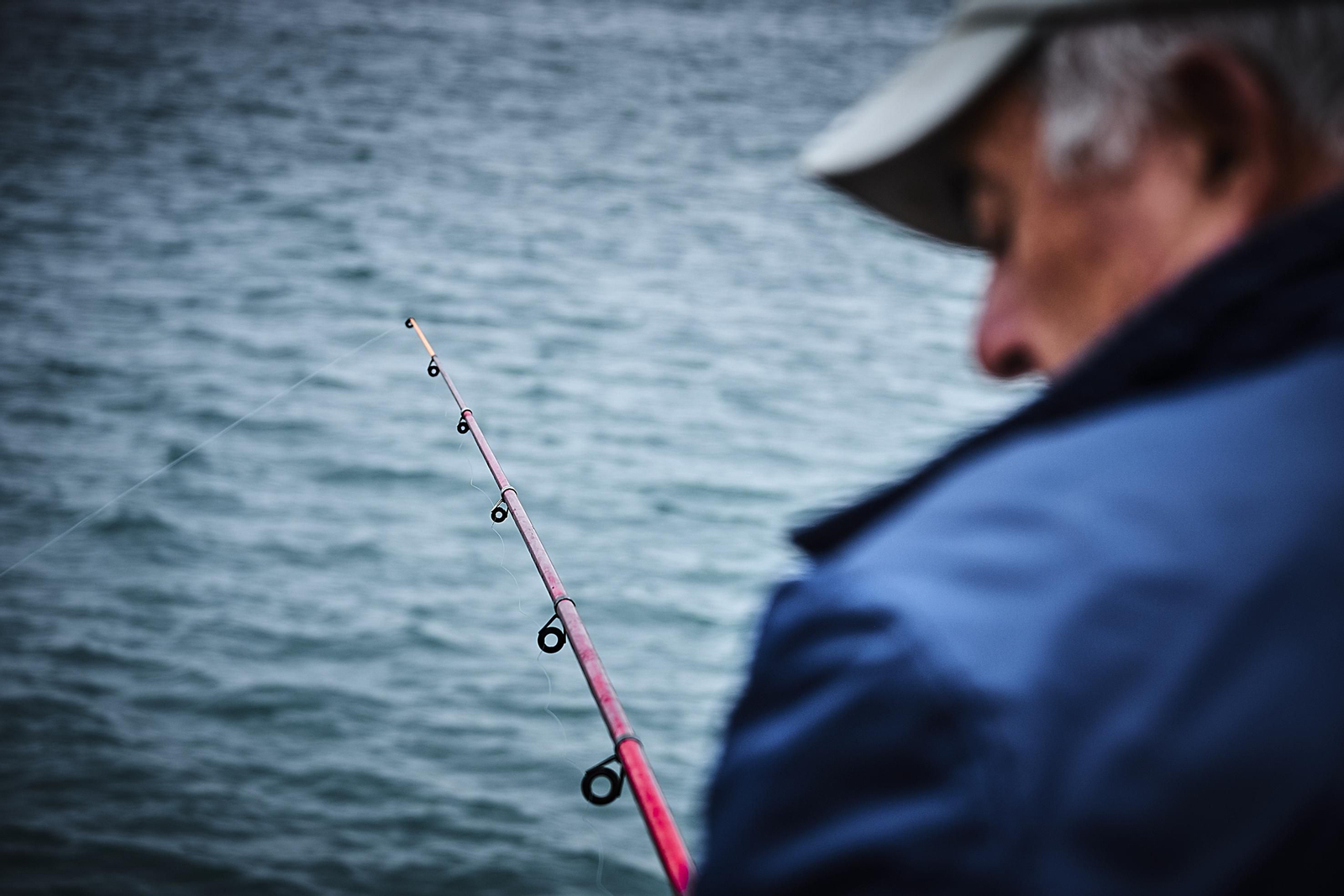 La afición a la pesca en Cádiz, en imágenes