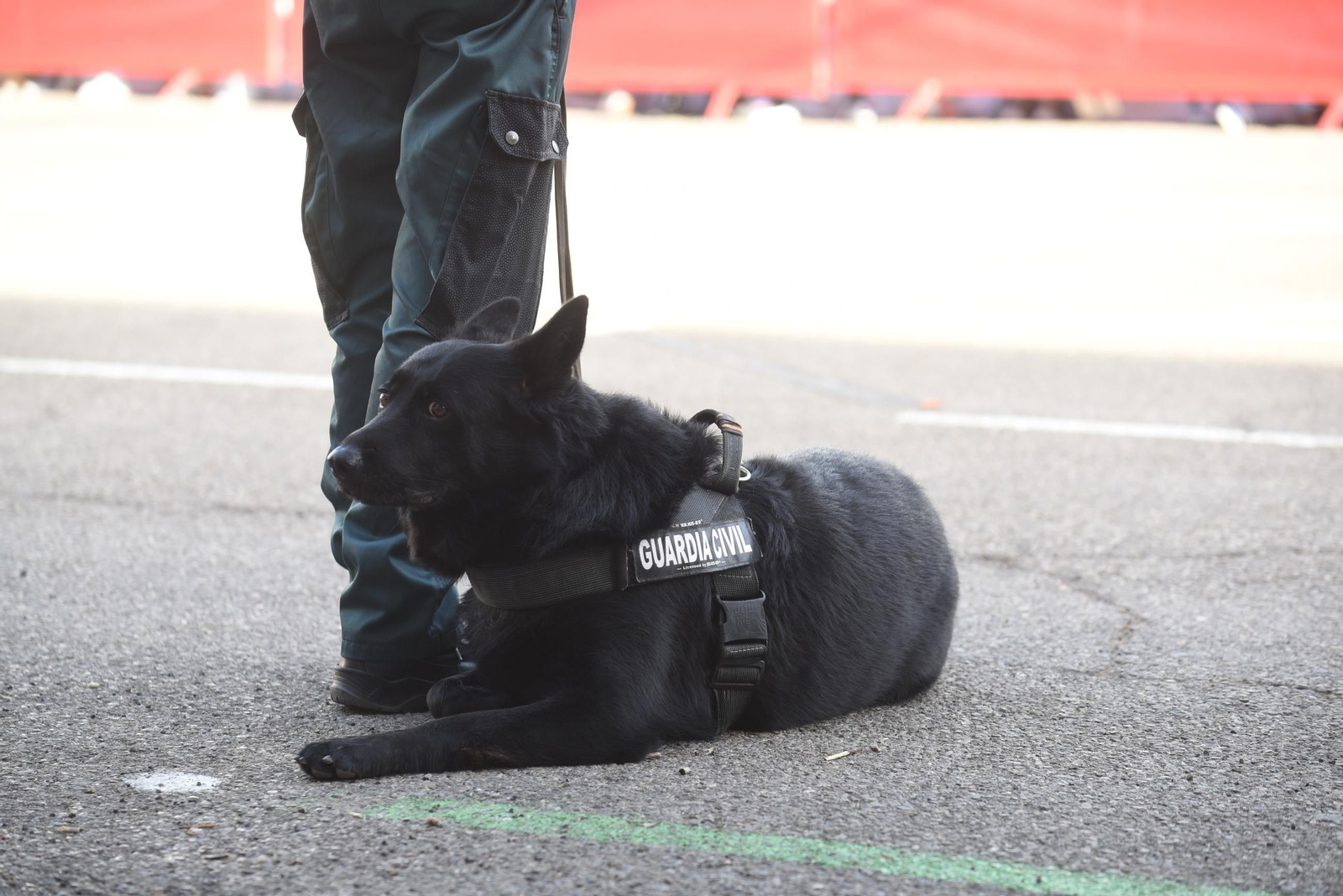 La Guardia Civil de Córdoba celebra el día su patrona, la Virgen del Pilar