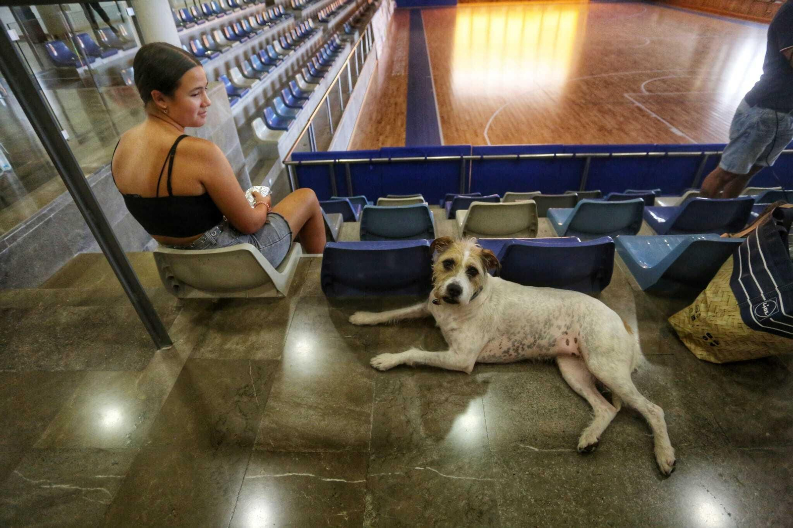 Incendio forestal en Mijas, en el paraje El Higuerón (fotos)