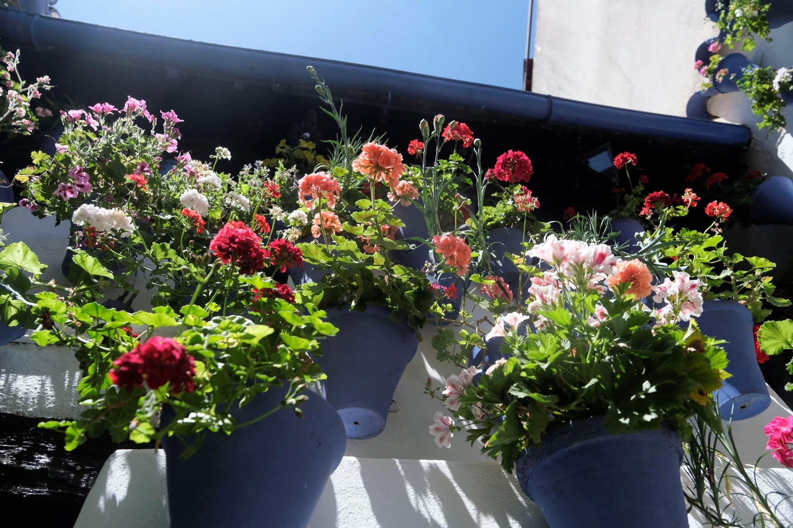 Los Patios de Córdoba se llenan de turistas en su primer fin de semana, en imágenes