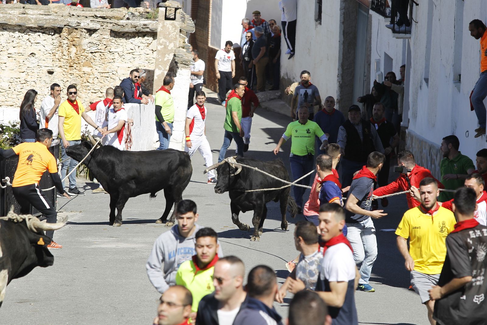 Fotogalería Tosos Ensogaos Ohanes. Fiestas San Marcos.