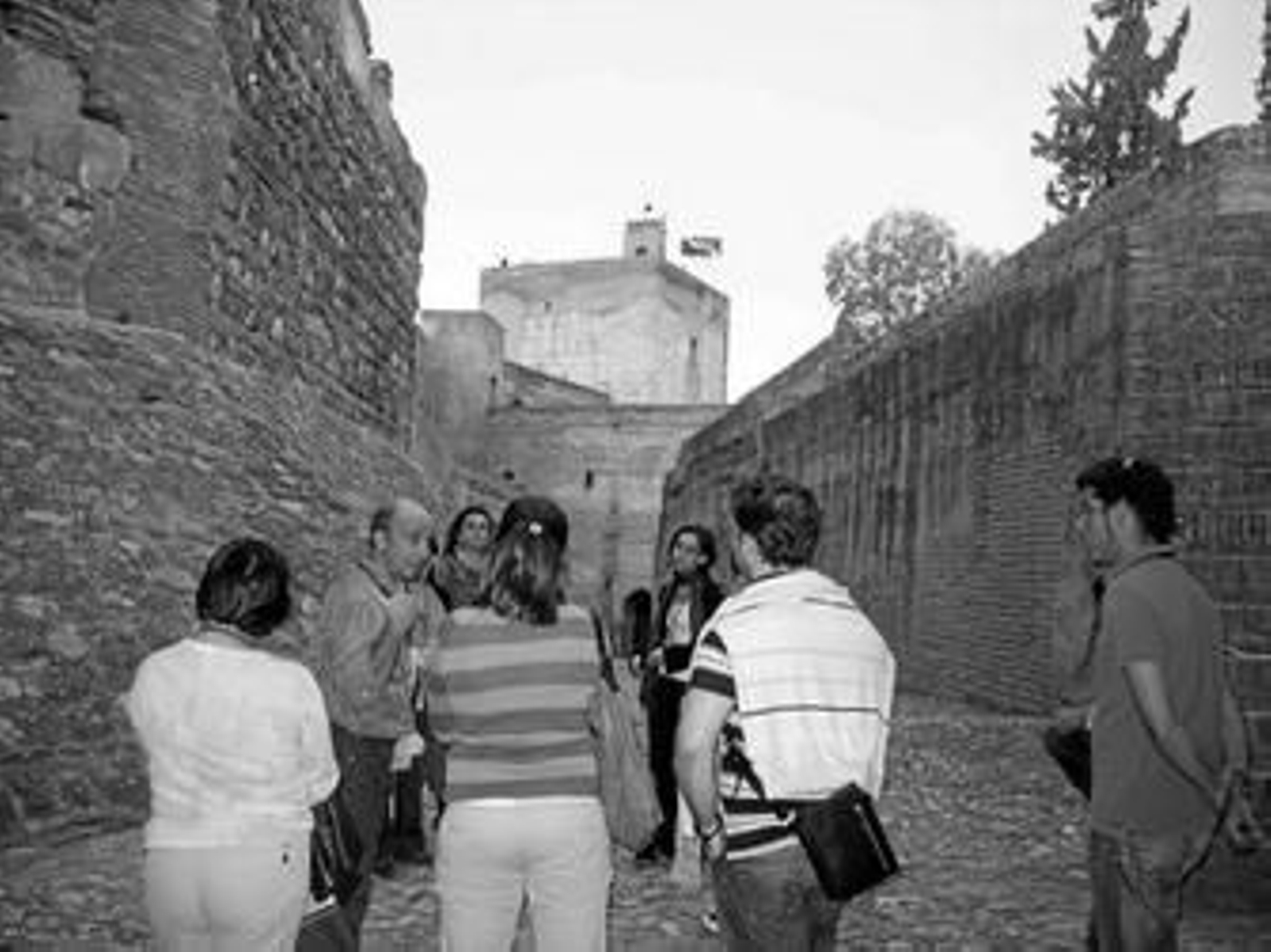 El programa de visitas guiadas será una oportunidad para adentrarse en la historia de la Alhambra.