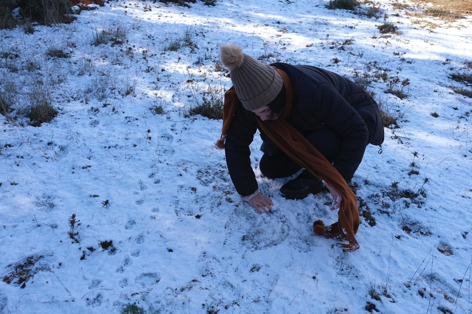 Gente jugando en Conejeras, entrada del Parque Nacional de Sierra de las Nieves.