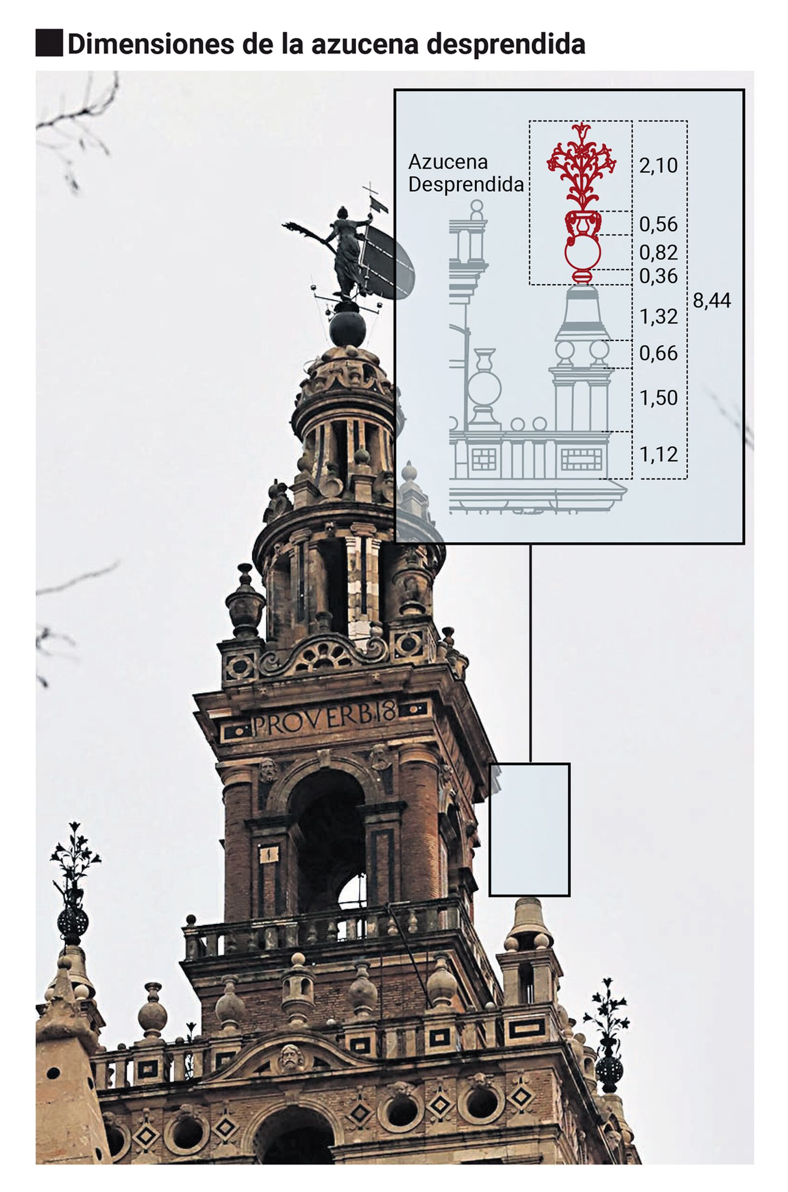 Dimensiones de la azucena de la Giralda