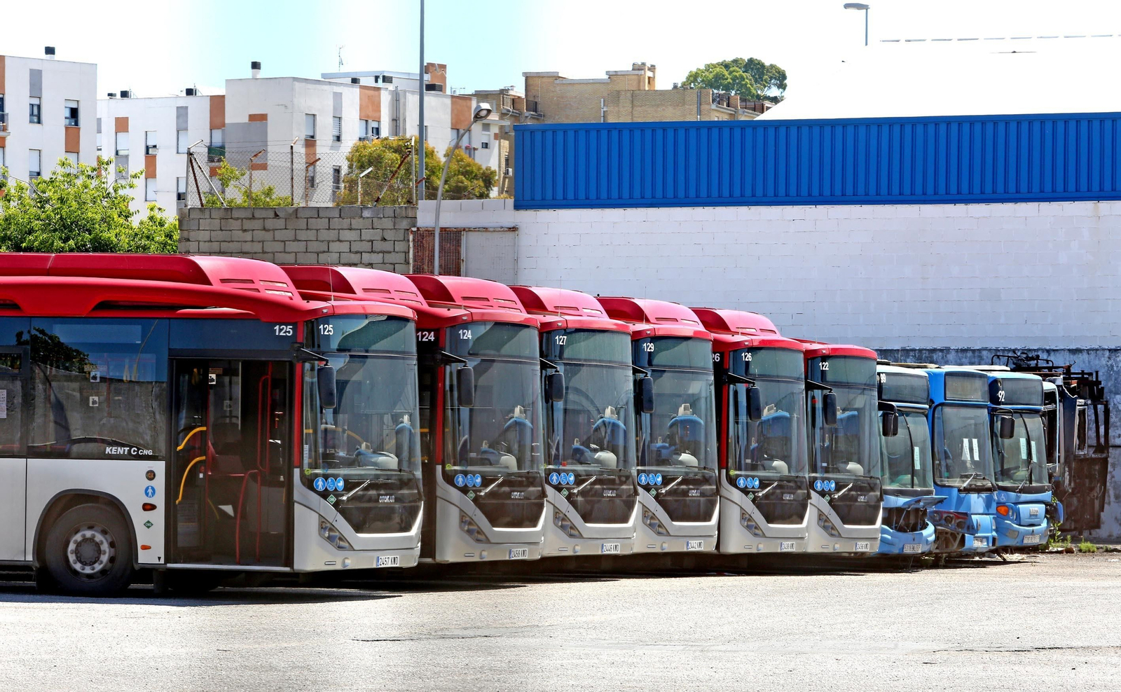 Una imagen de los autobuses Otokar que se encuentran sin salir a la calle.