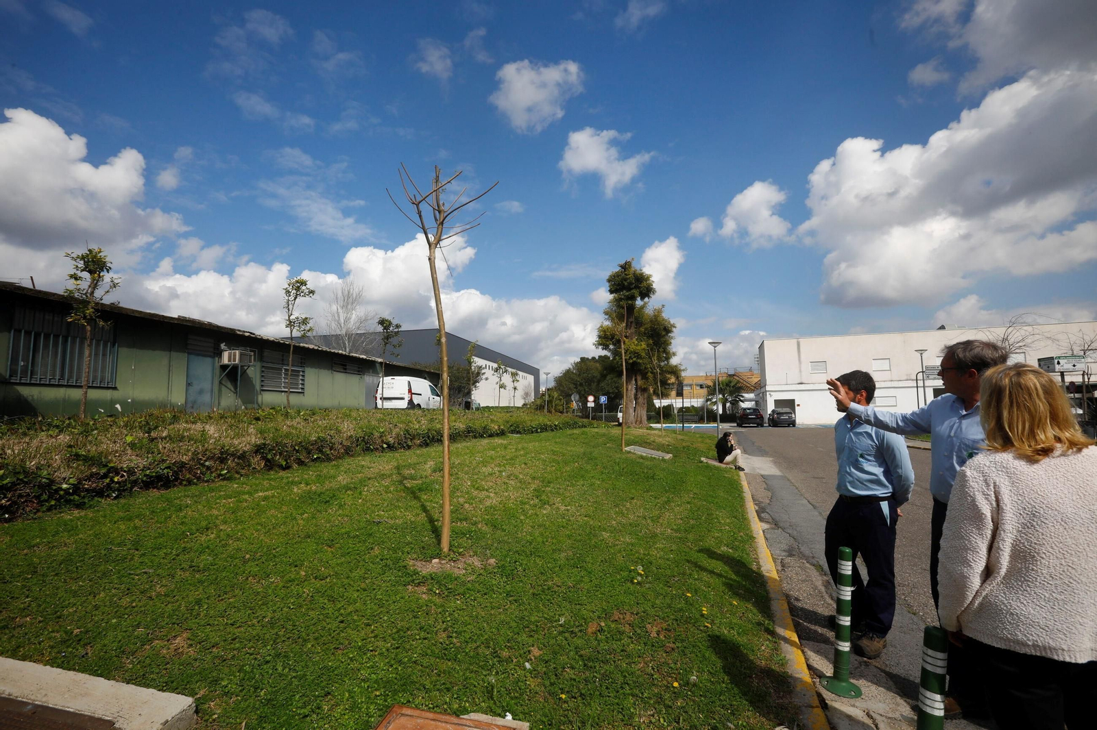 Las zonas verdes repobladas del Hospital Reina Sofía de Córdoba, en imágenes