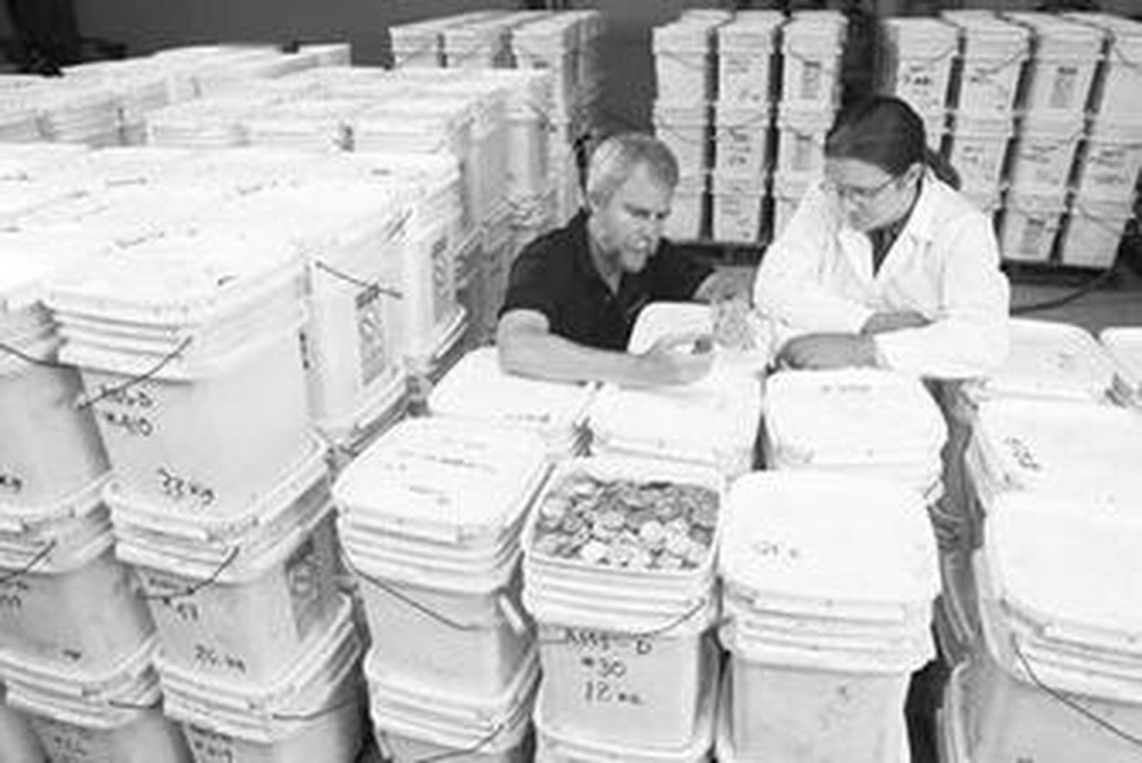 Greg Stemn, fundador de Odyssey, examina las monedas de La Mercedes.