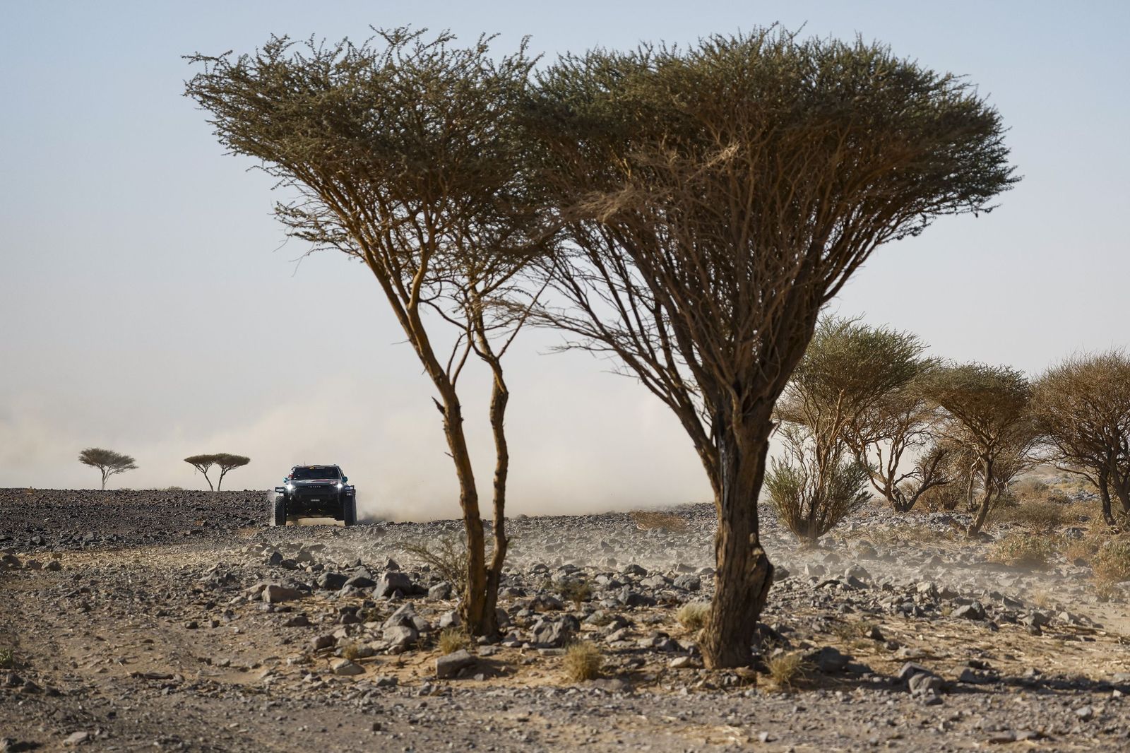 Las mejores fotos del Rally Dakar | Novena etapa