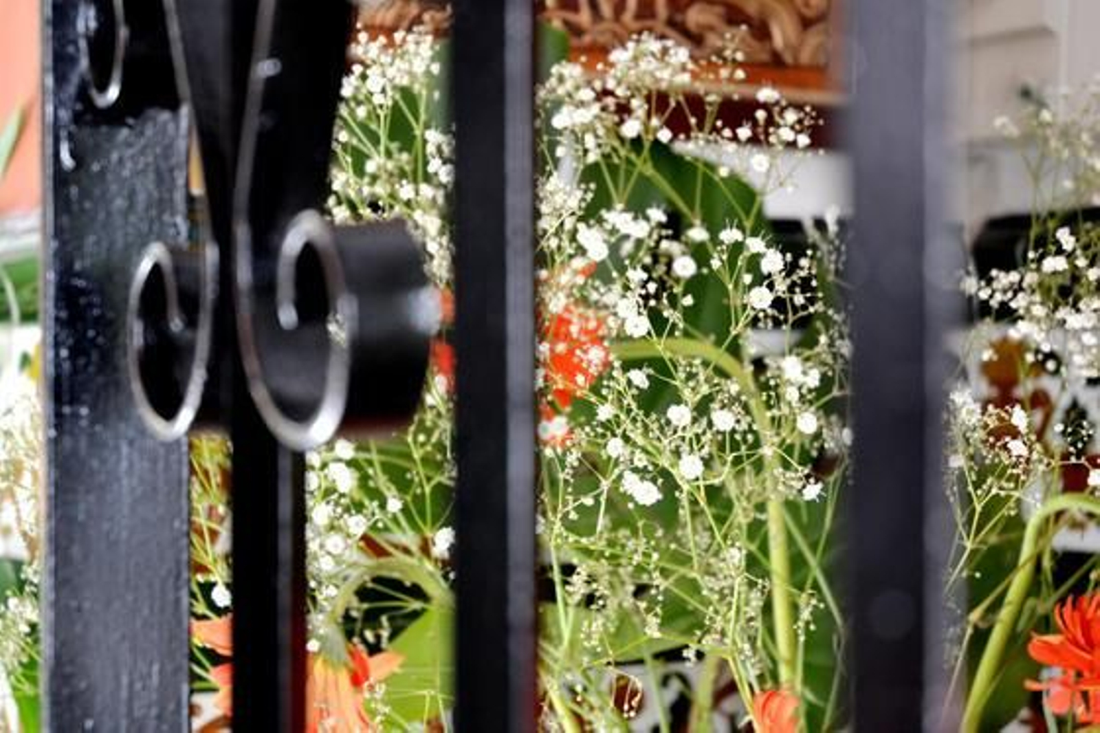 Foto: Macarena Gassin