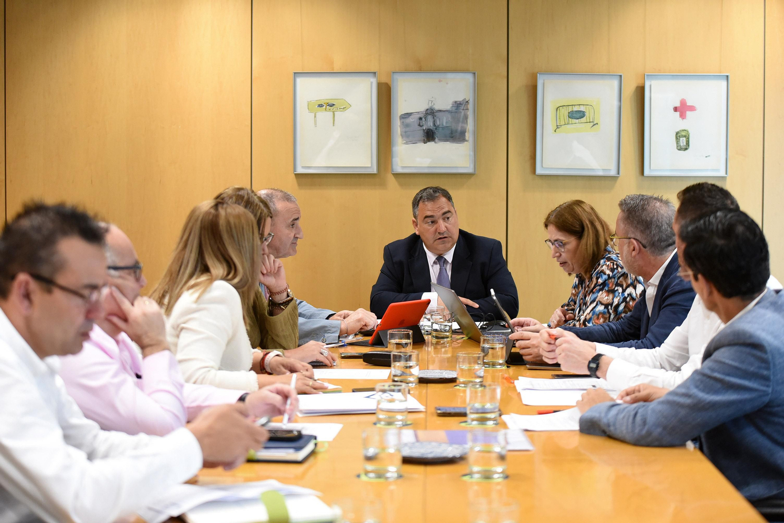 Reunión del Consejo Rector de la APEI