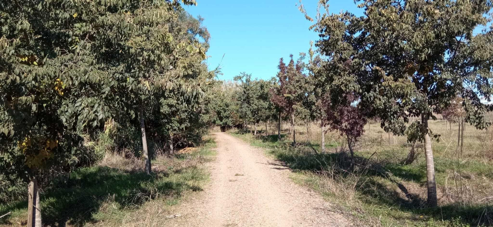 Vídeo ruta del sendero del Río Pudio